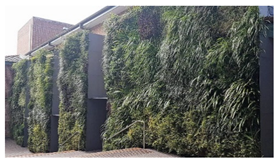 Ijerph 17 05084 i006