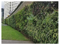 Ijerph 17 05084 i007