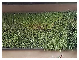 Ijerph 17 05084 i008