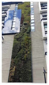 Ijerph 17 05084 i010