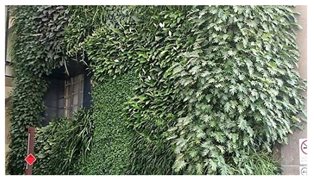 Ijerph 17 05084 i011