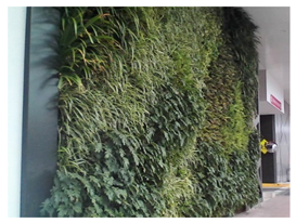 Ijerph 17 05084 i012