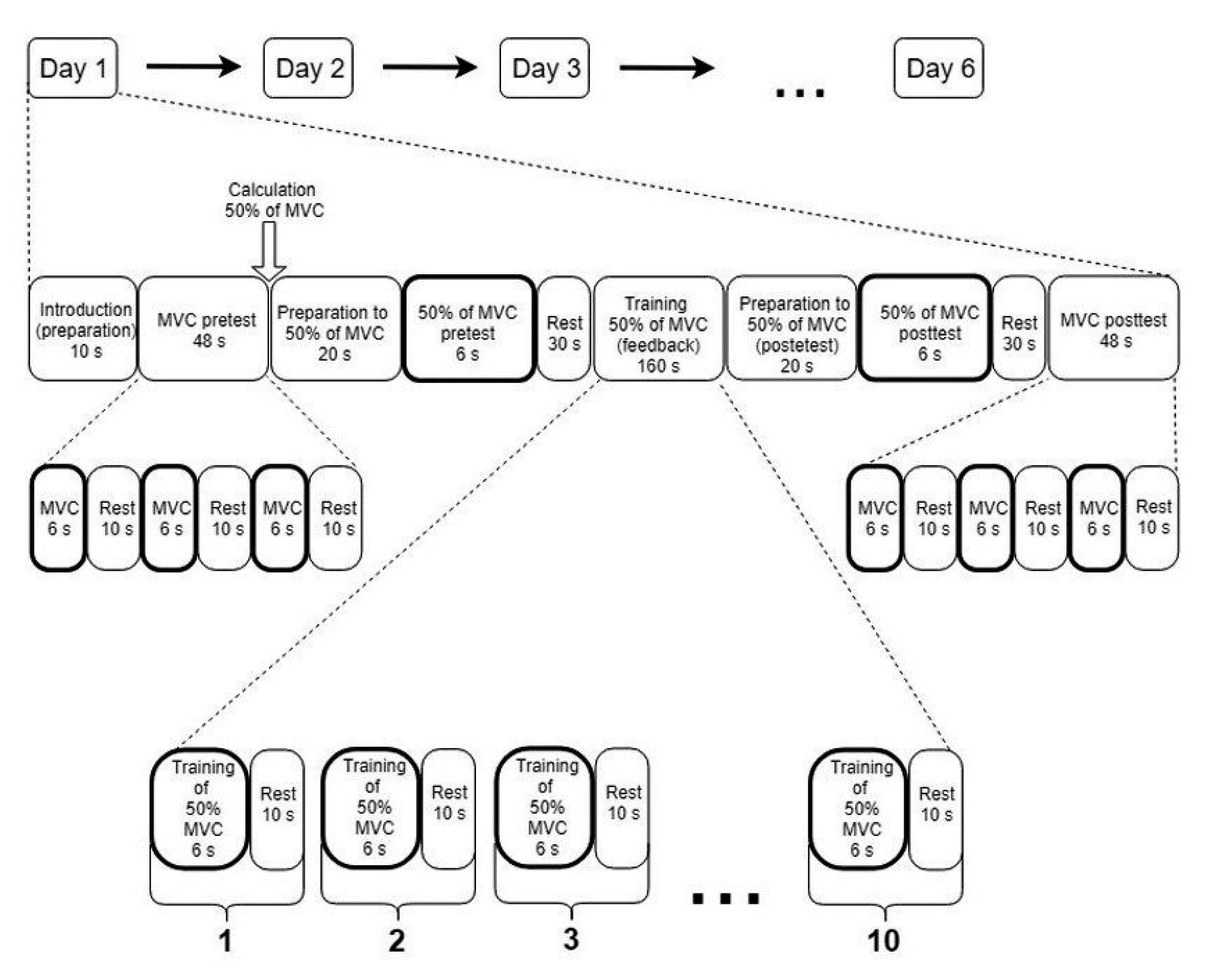 Ijerph 17 05158 g001