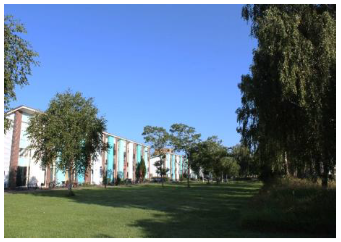 Ijerph 17 05205 g005