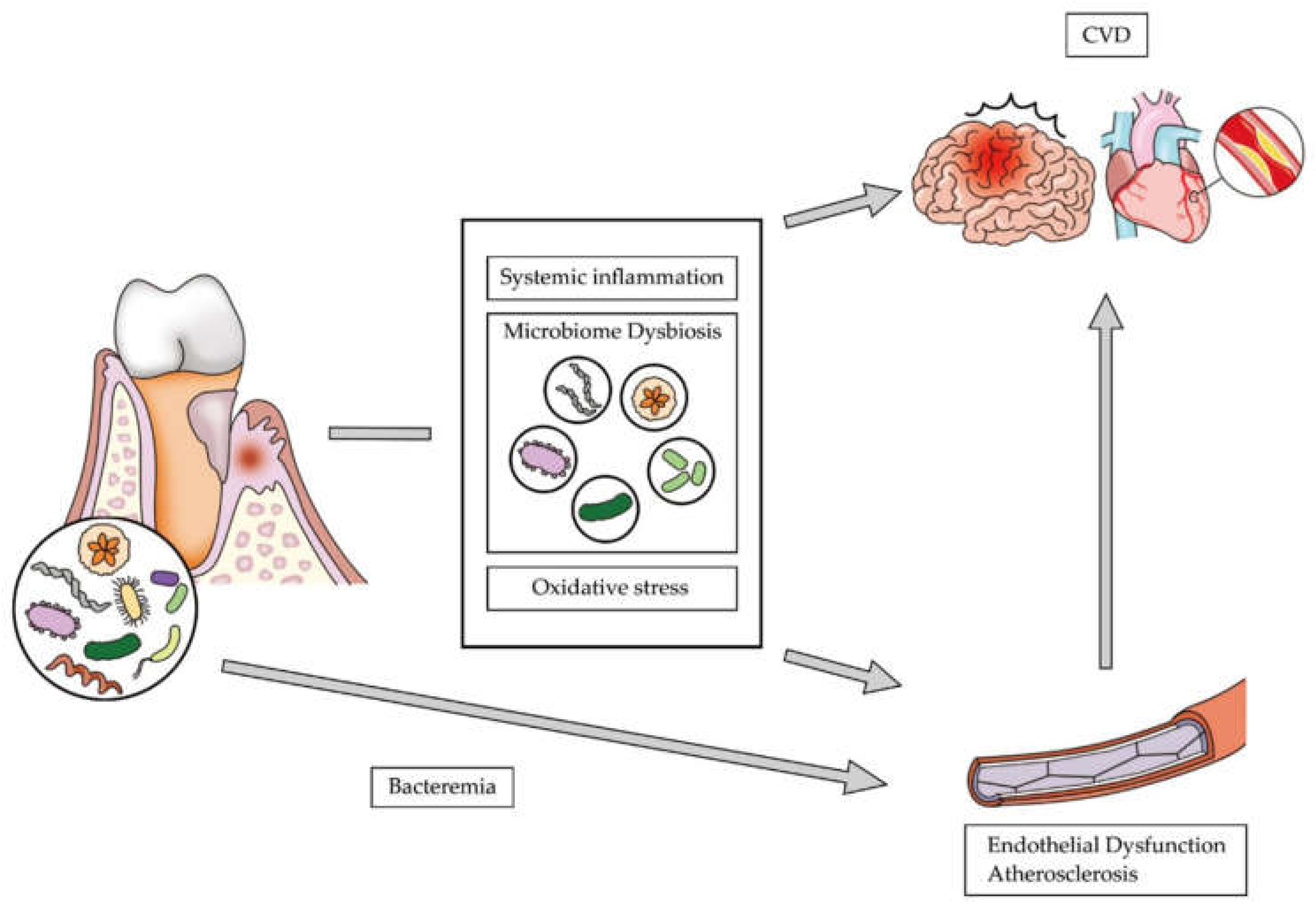 Ijerph 17 05237 g002