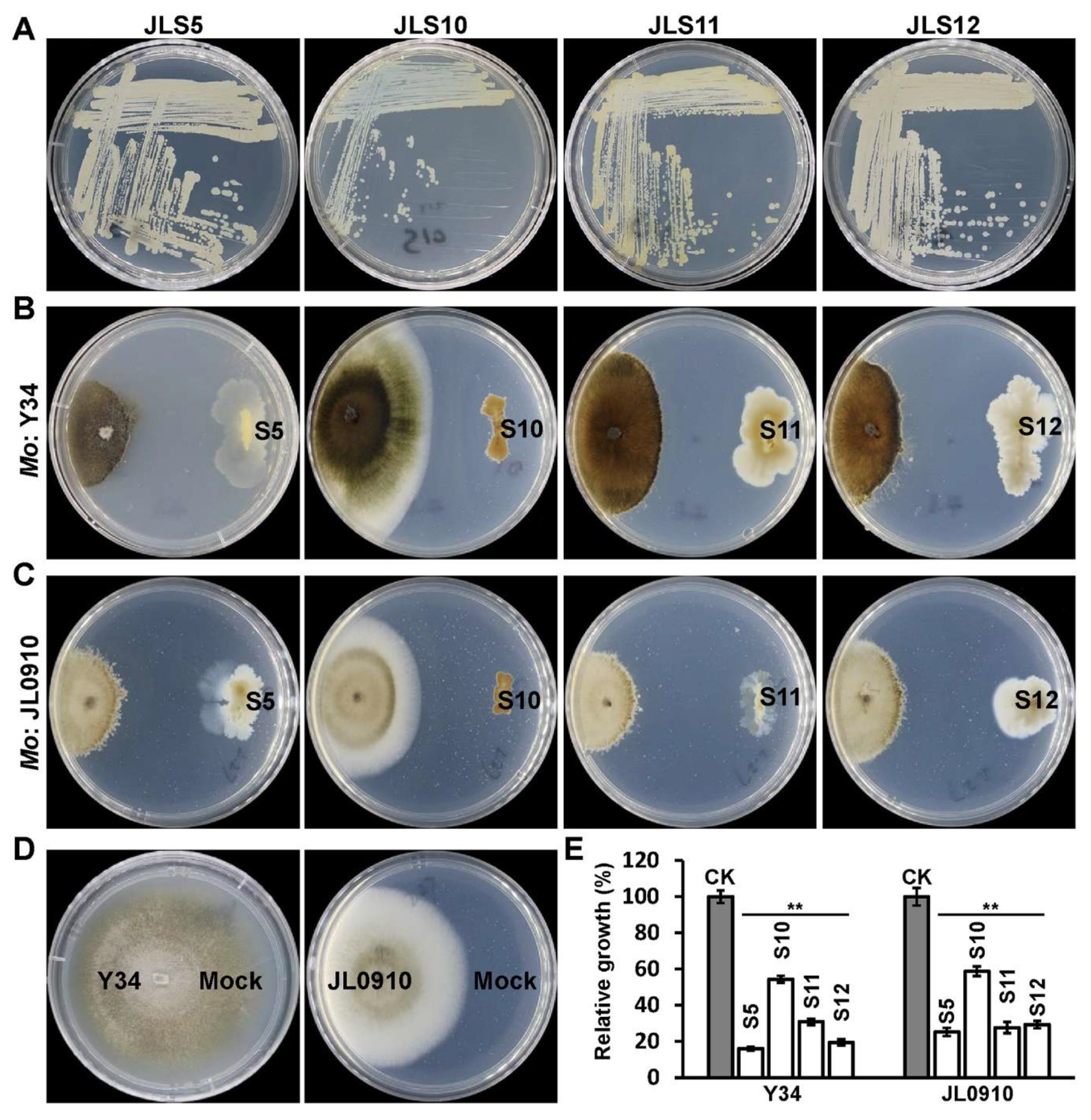 Ijerph 17 05248 g003