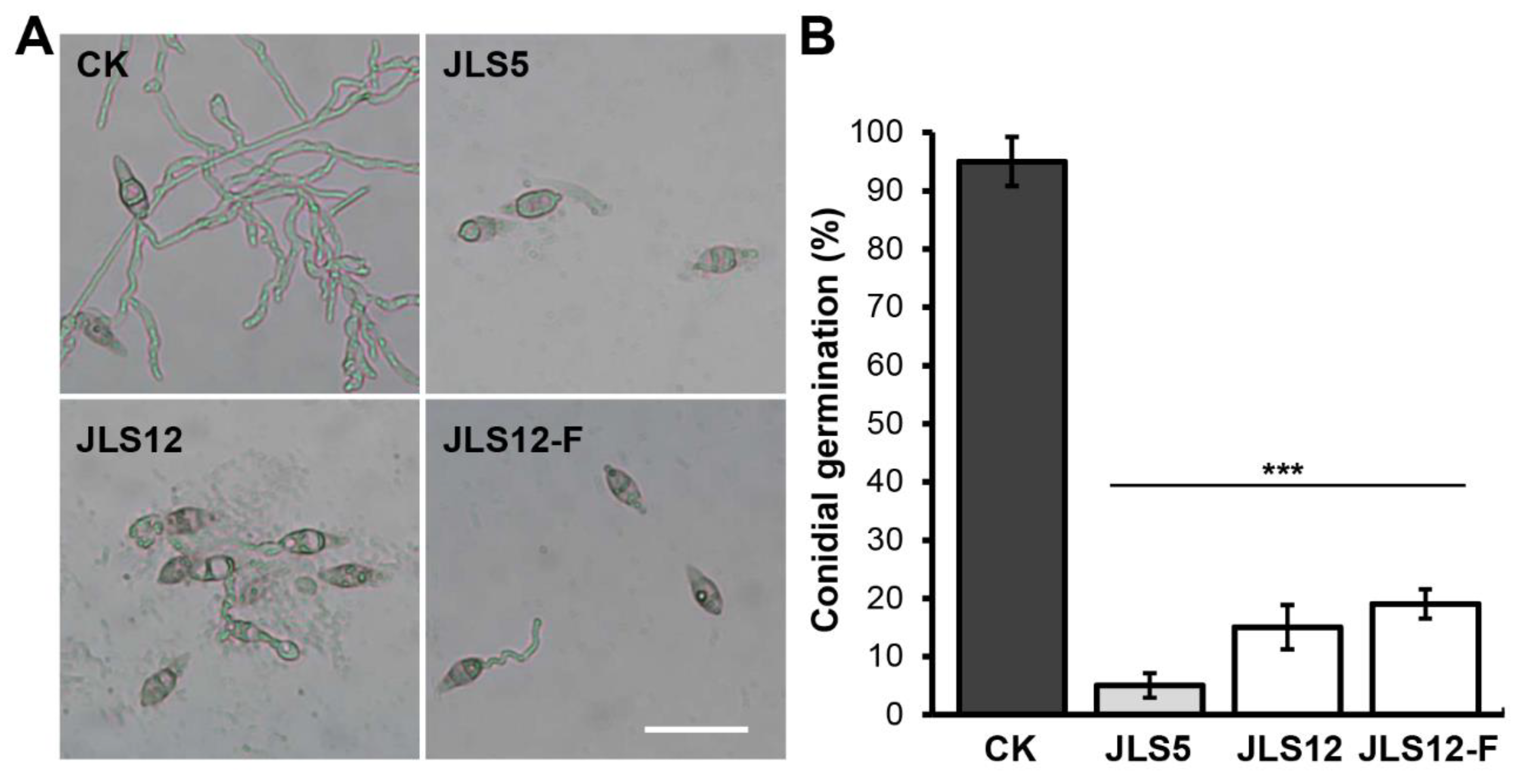 Ijerph 17 05248 g004