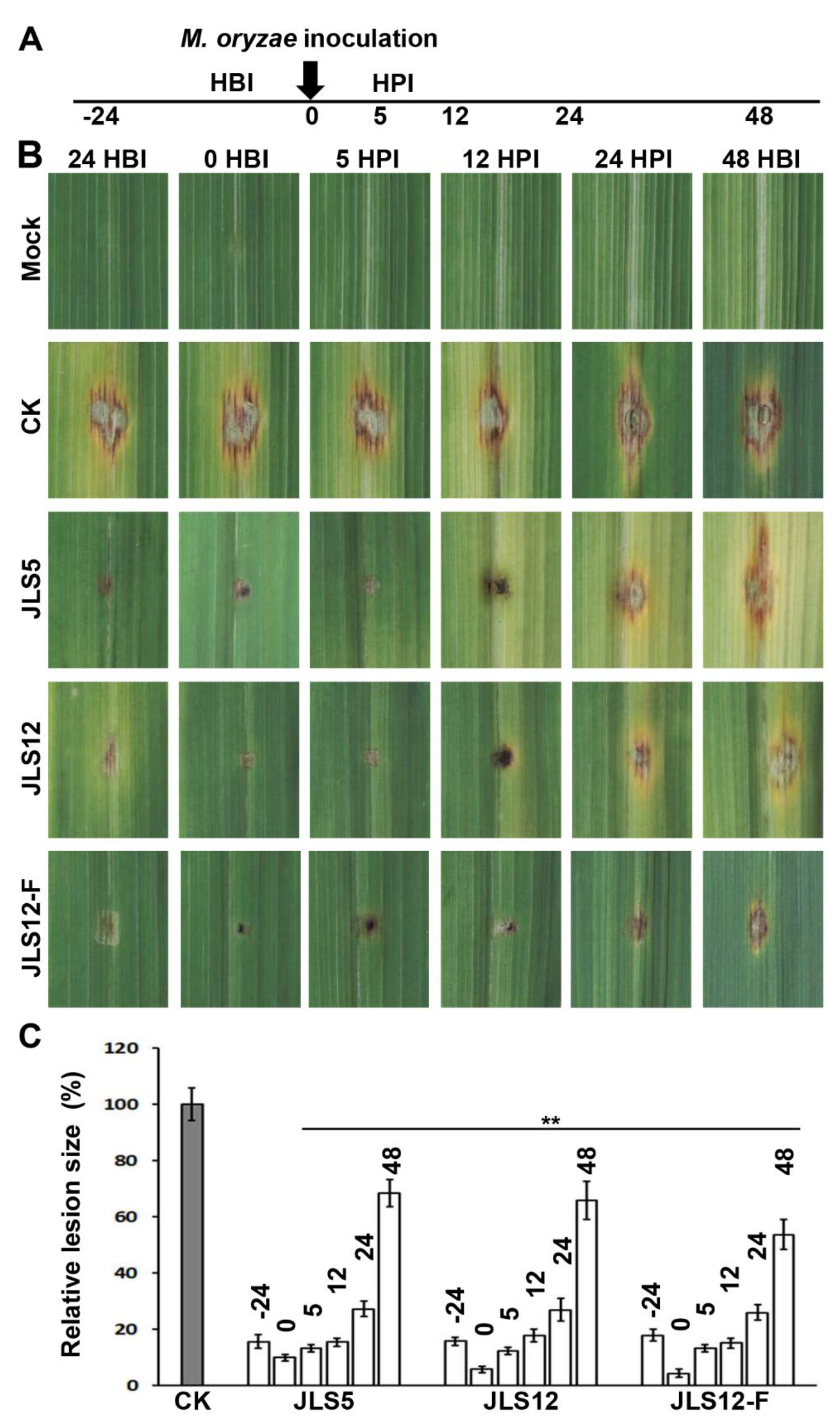 Ijerph 17 05248 g005