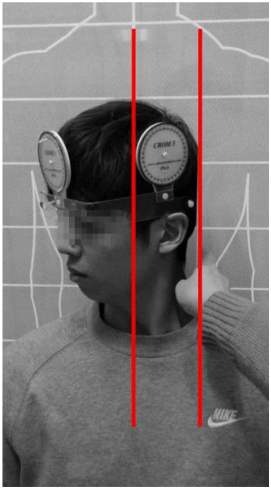 Ijerph 17 05262 g003