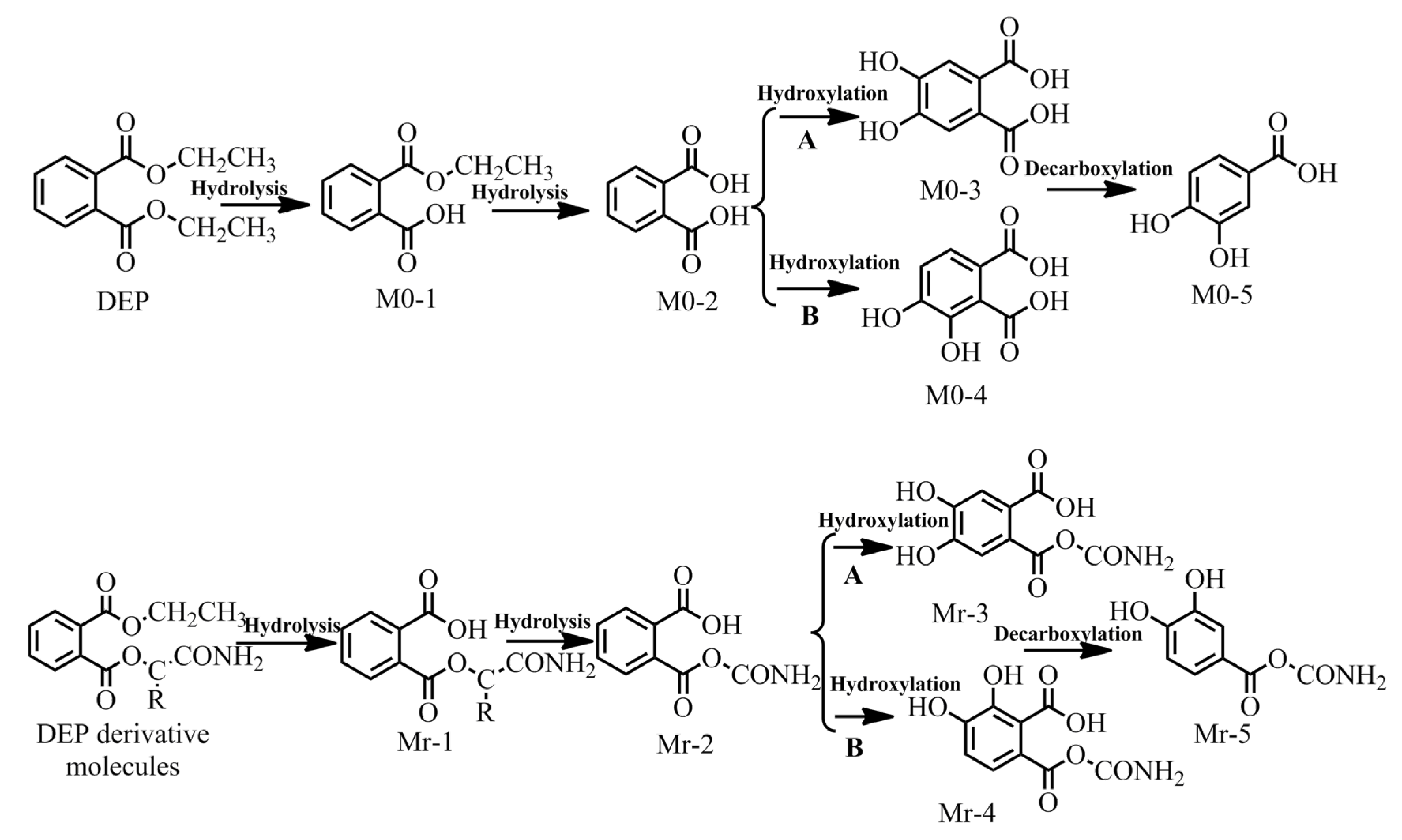 Ijerph 17 05299 g004