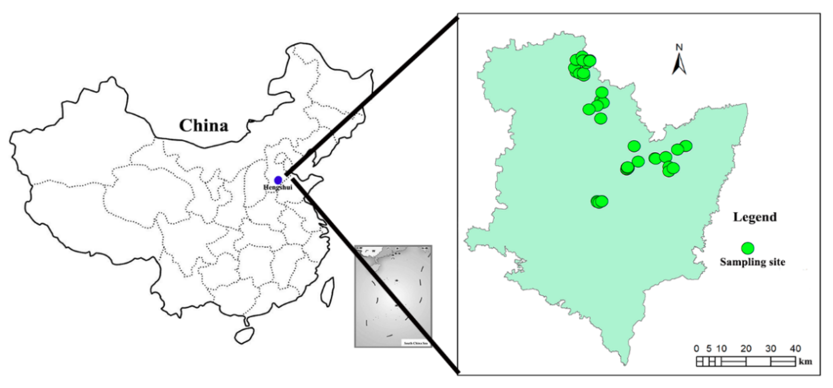 Ijerph 17 05359 g001