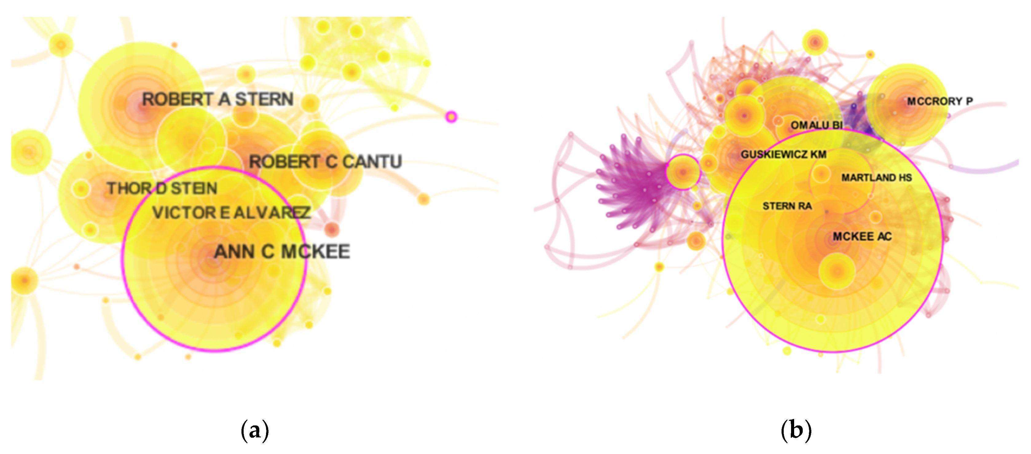 Ijerph 17 05411 g006 Ijerph 17 05411 g006