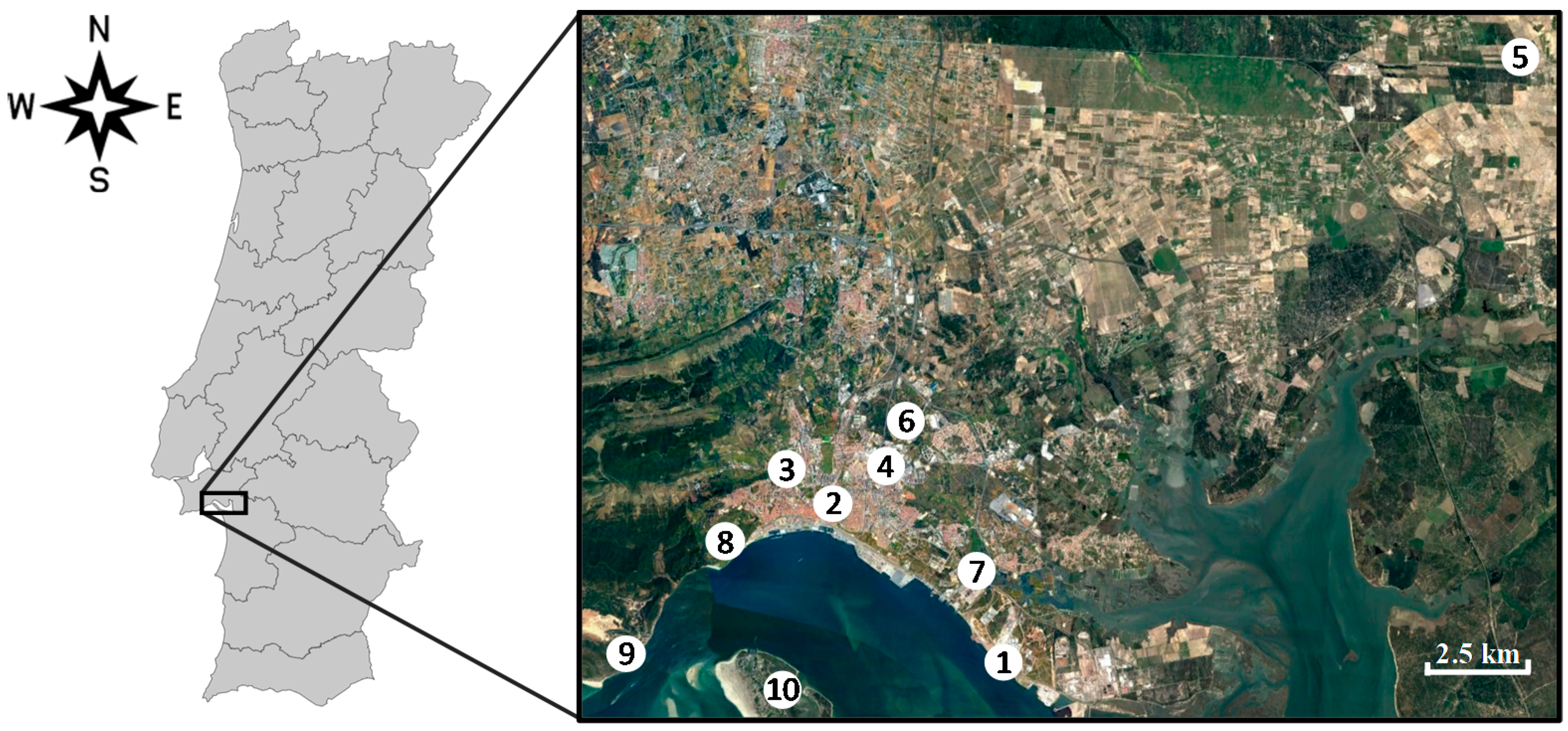 Ijerph 17 05447 g001 Ijerph 17 05447 g001