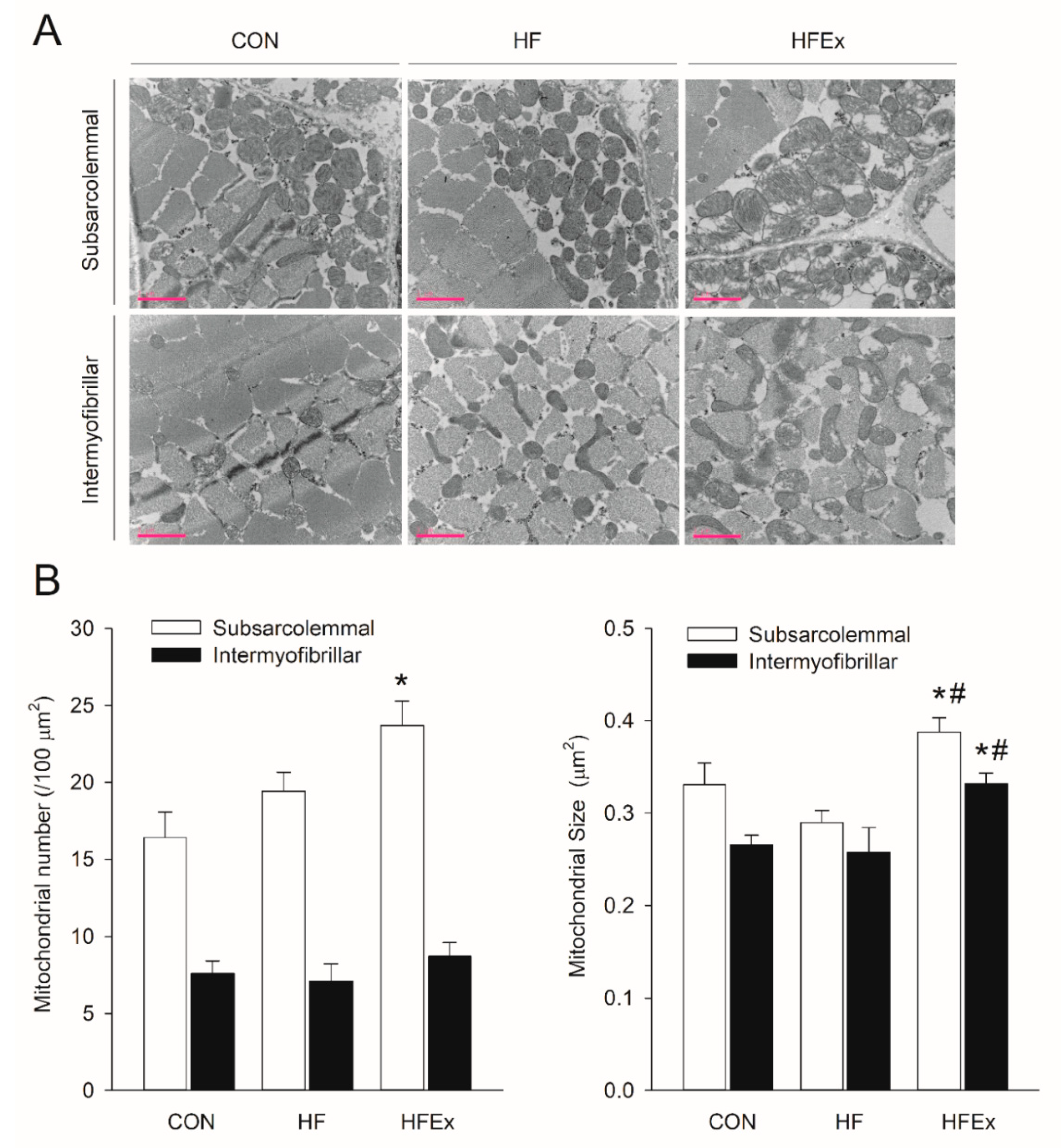 Ijerph 17 05461 g005 Ijerph 17 05461 g005