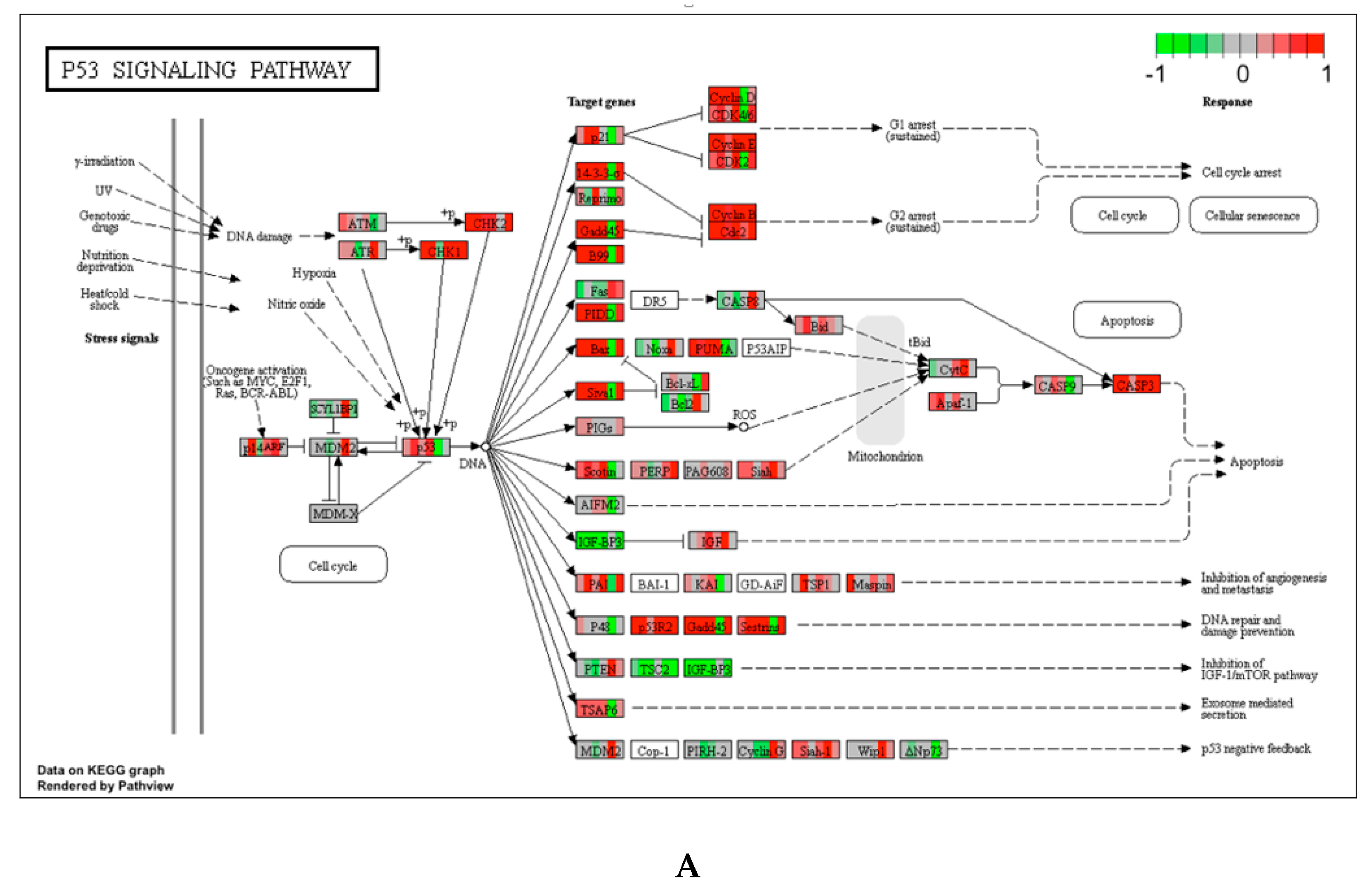 Ijerph 17 05466 g002a Ijerph 17 05466 g002a