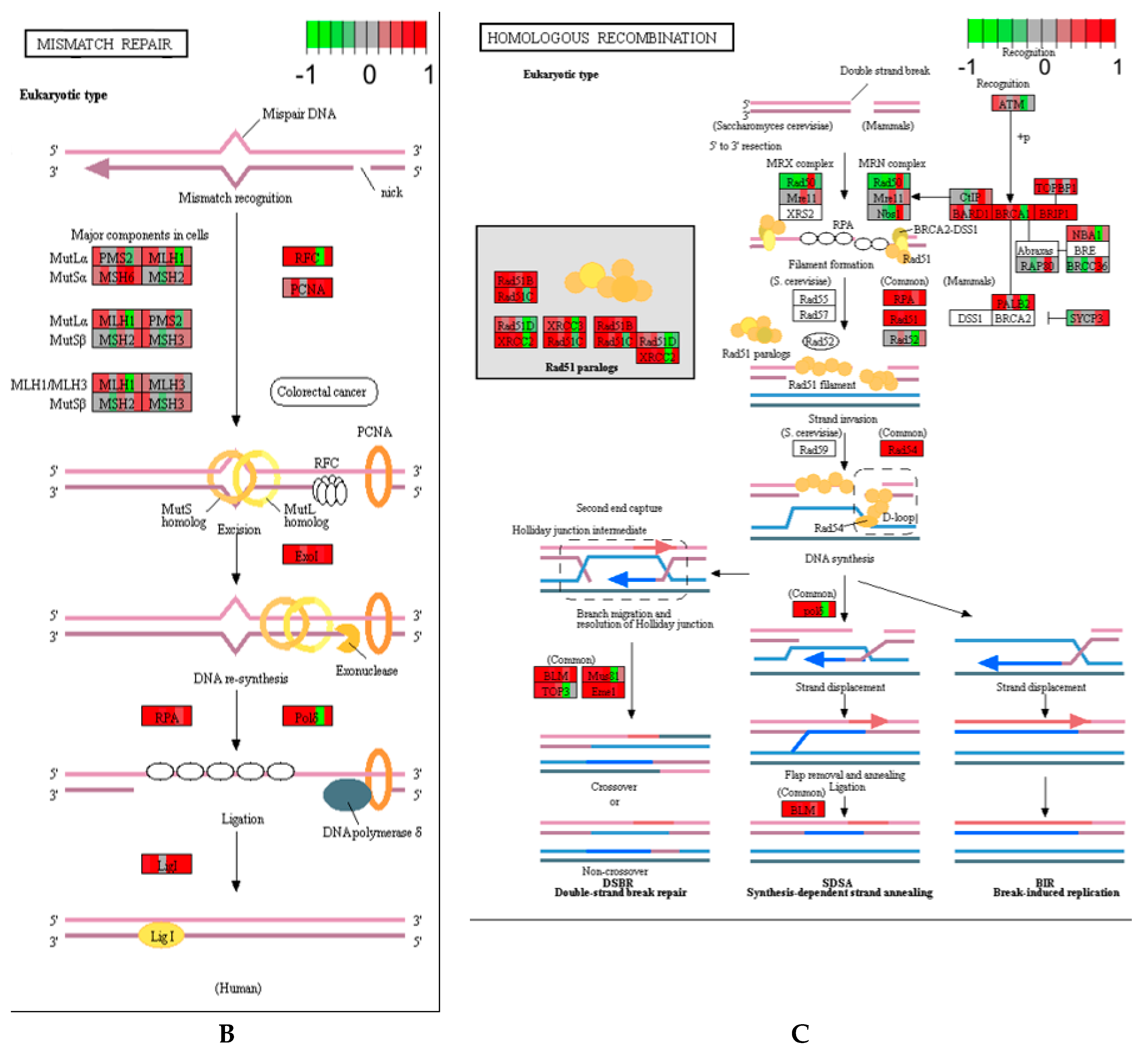 Ijerph 17 05466 g002b Ijerph 17 05466 g002b