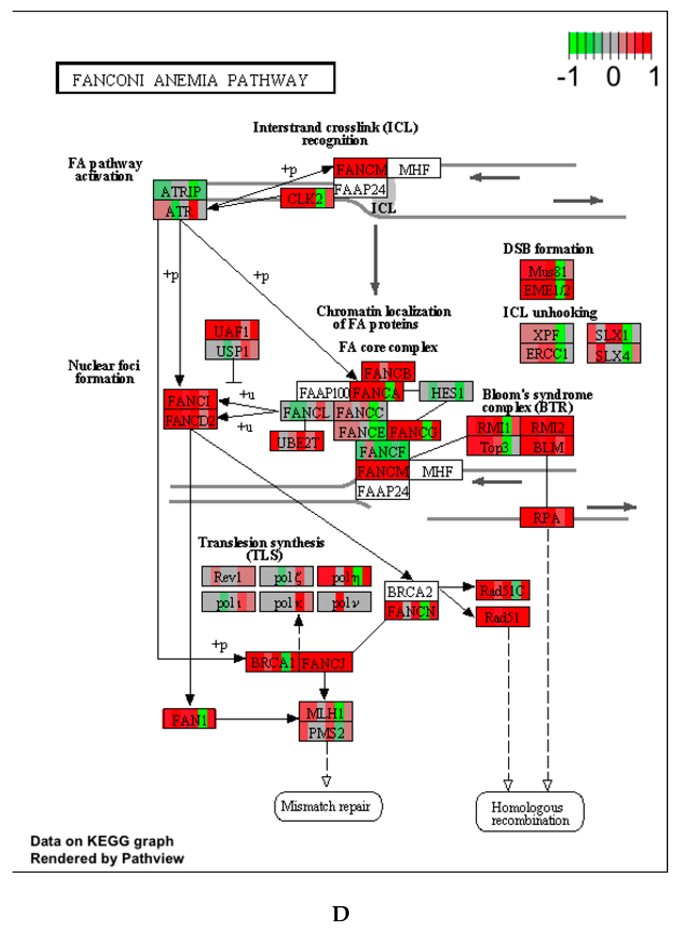 Ijerph 17 05466 g002c Ijerph 17 05466 g002c