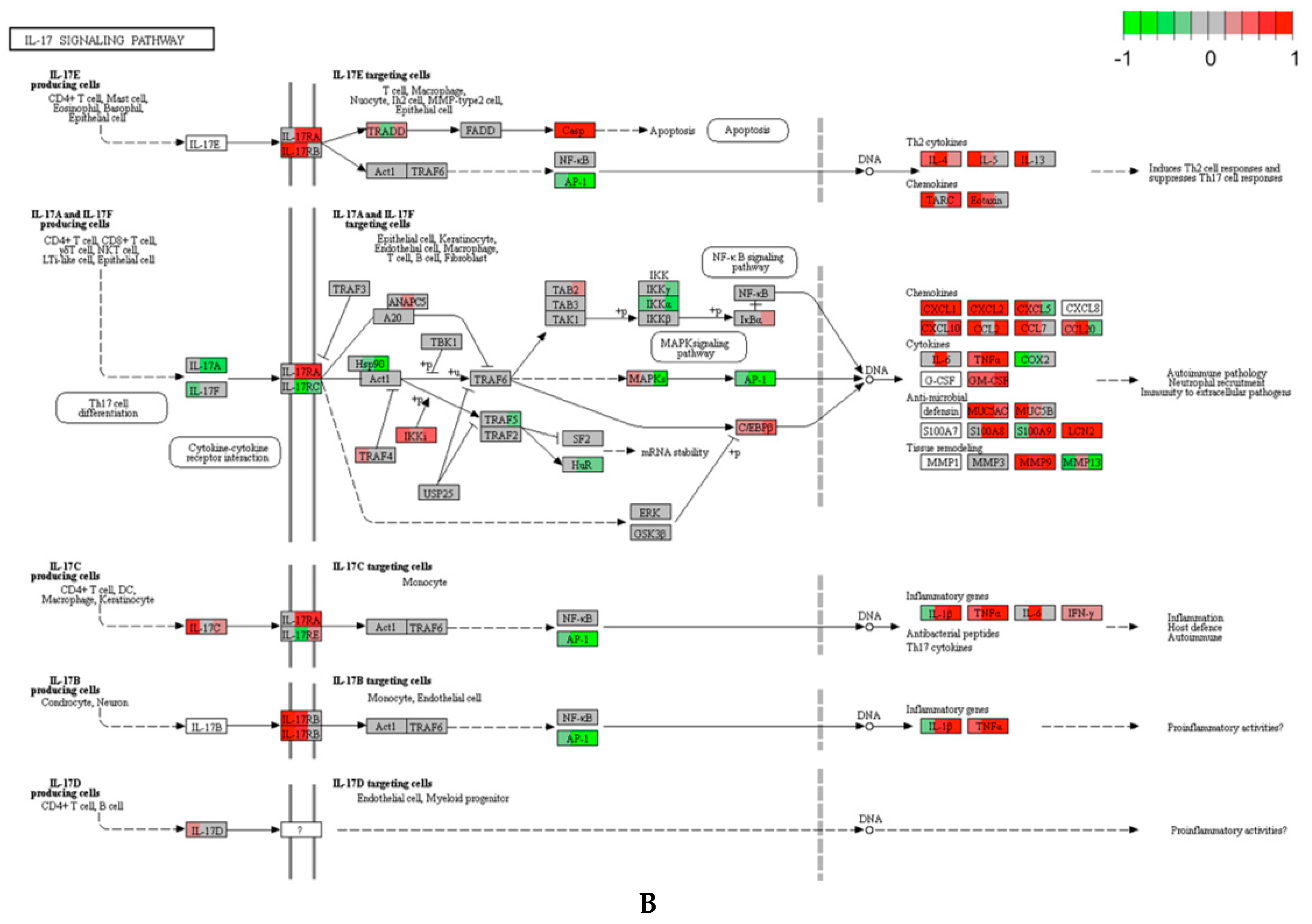 Ijerph 17 05466 g003b Ijerph 17 05466 g003b