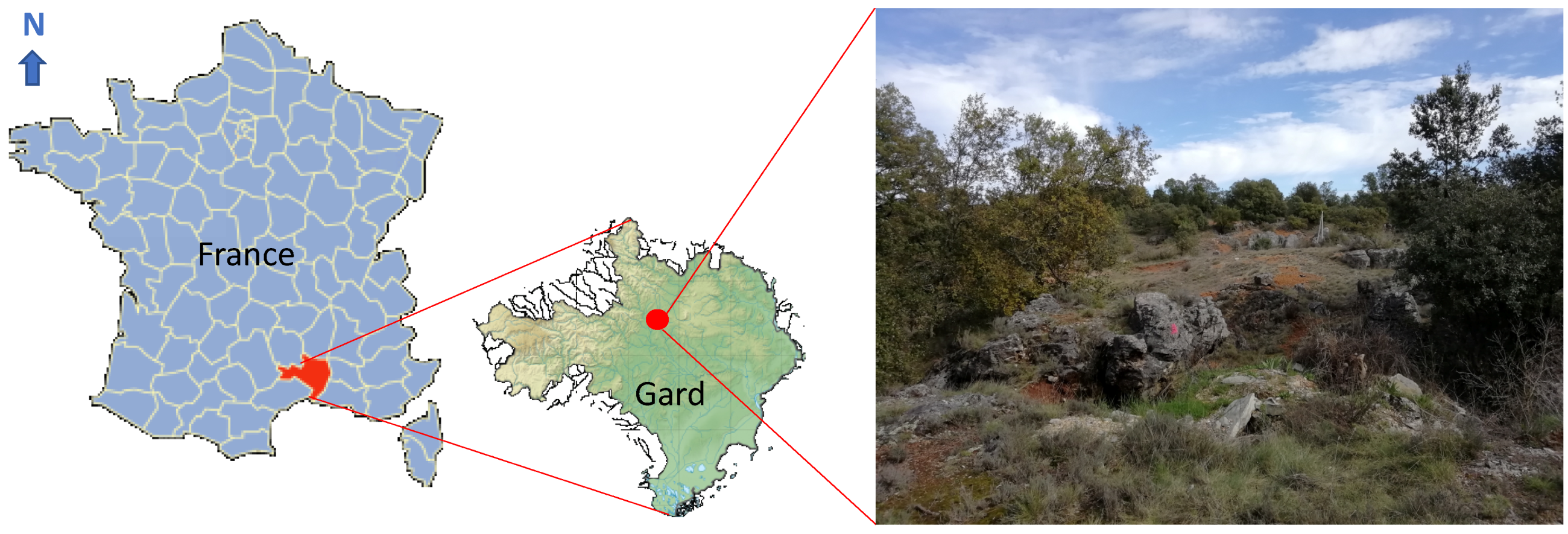 Ijerph 17 05506 g001 Ijerph 17 05506 g001