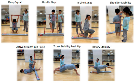 Effect of a Six Week Core Conditioning as a Warm Up Exercise in Physical Education Classes on Physical Fitness Movement Capability and Balance in School Aged Children