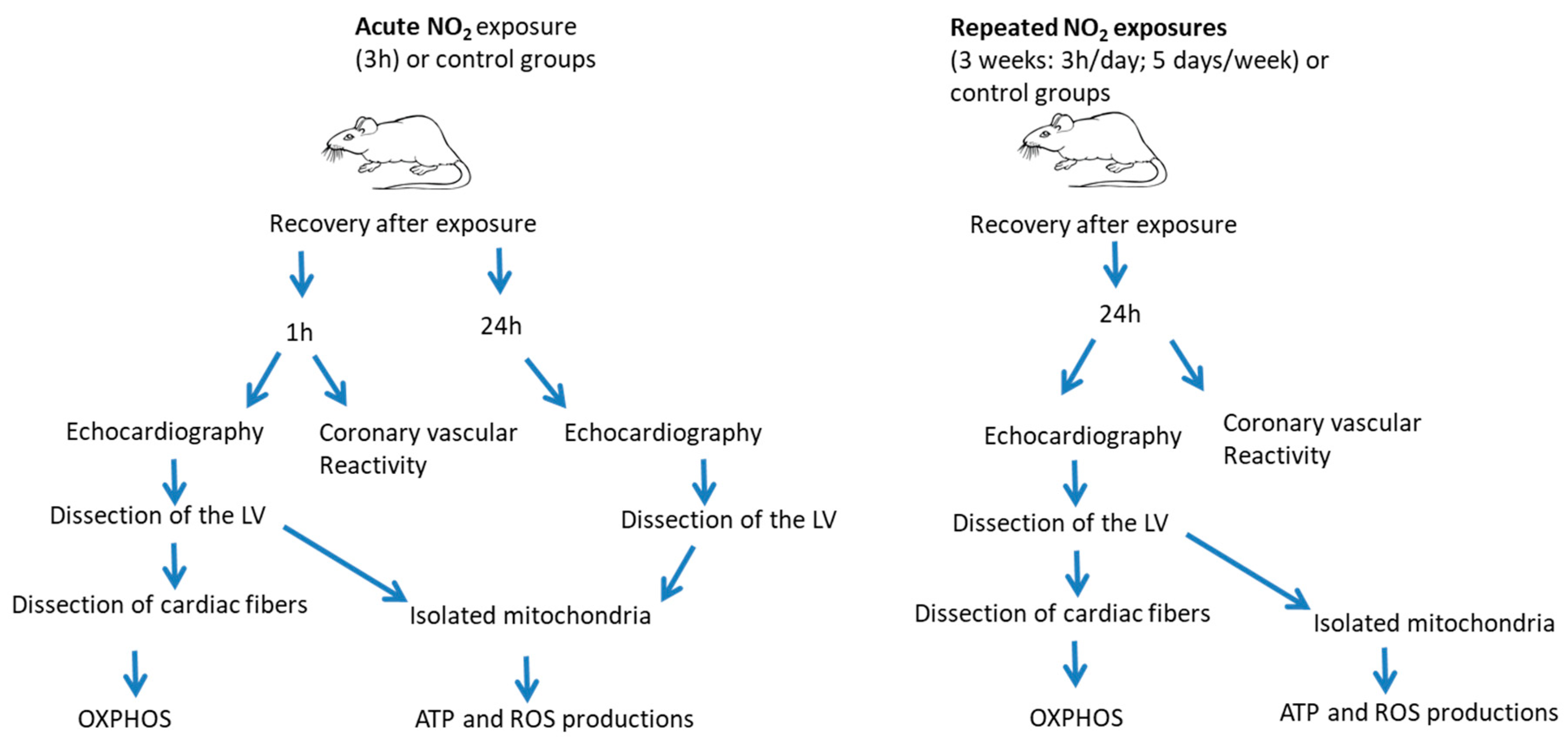 Ijerph 17 05526 g001 Ijerph 17 05526 g001