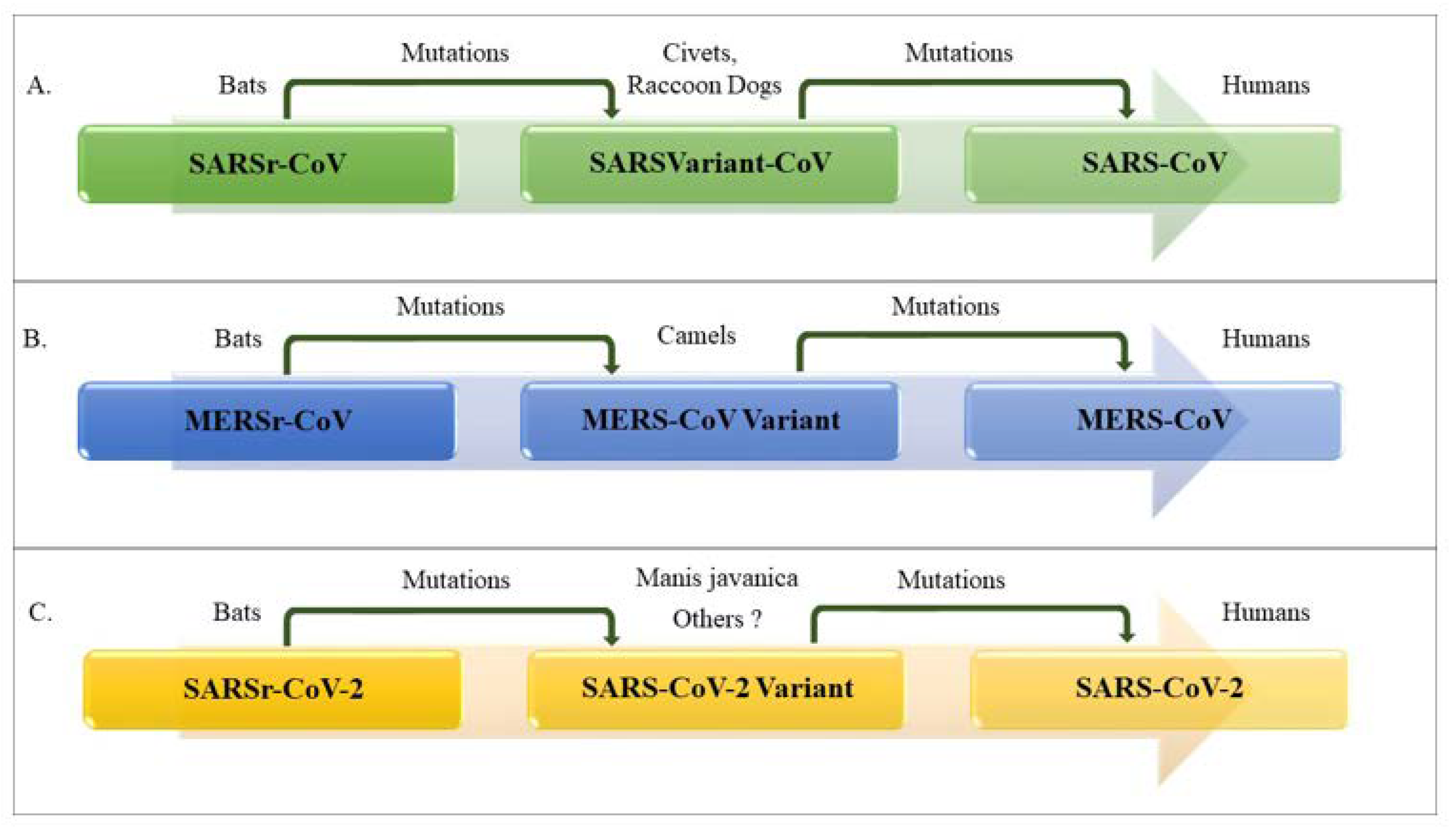 Ijerph 17 05648 g002