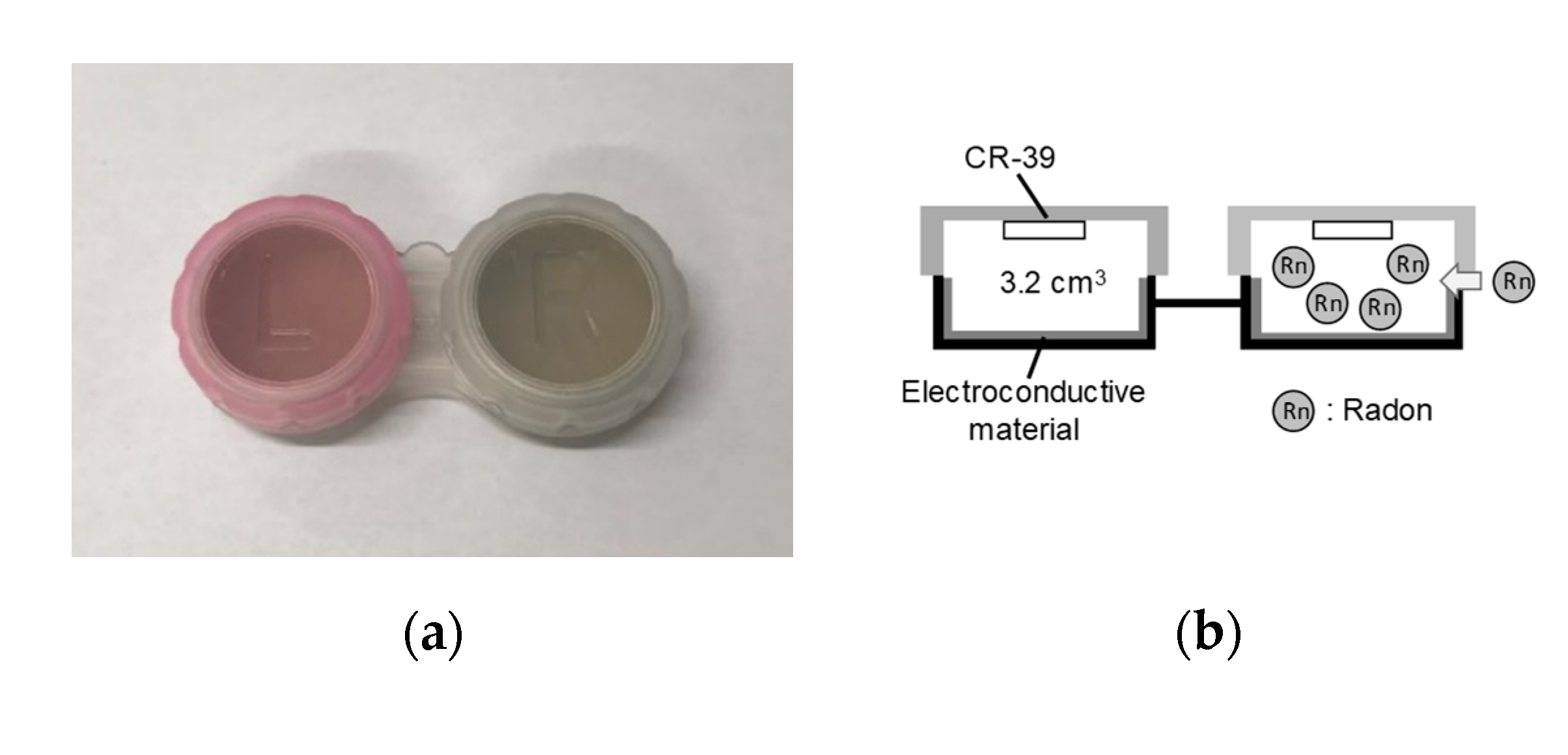 Ijerph 17 05660 g001