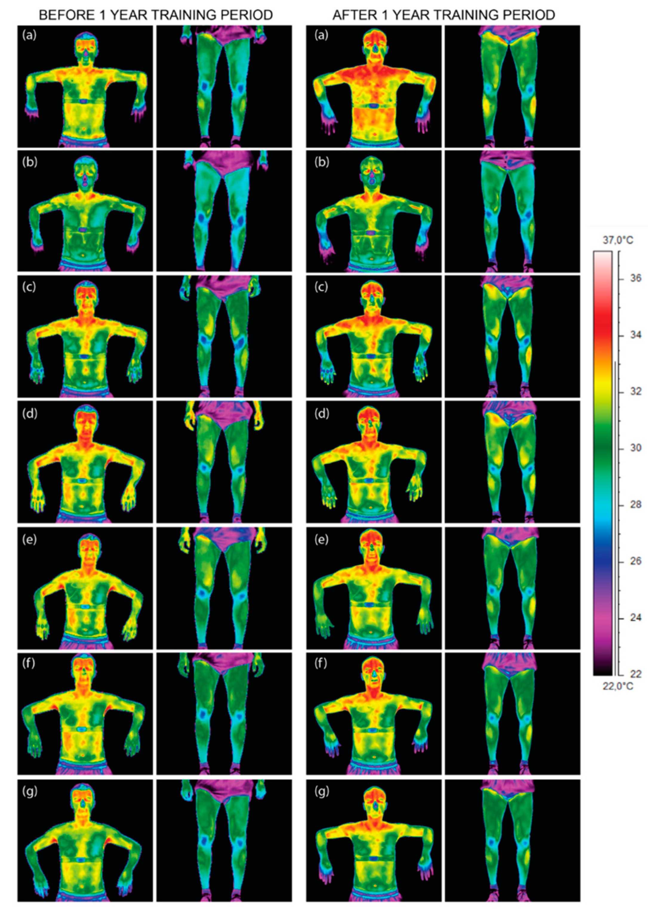 Ijerph 17 05698 g002