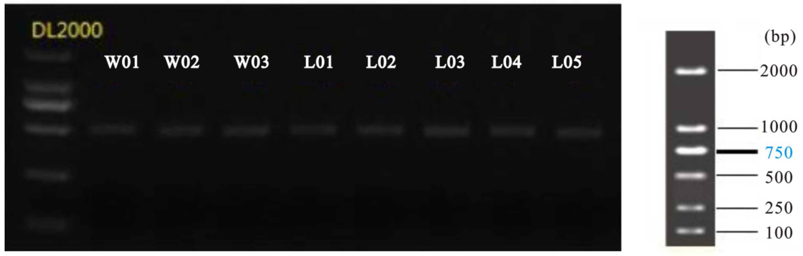 Ijerph 17 05699 g002