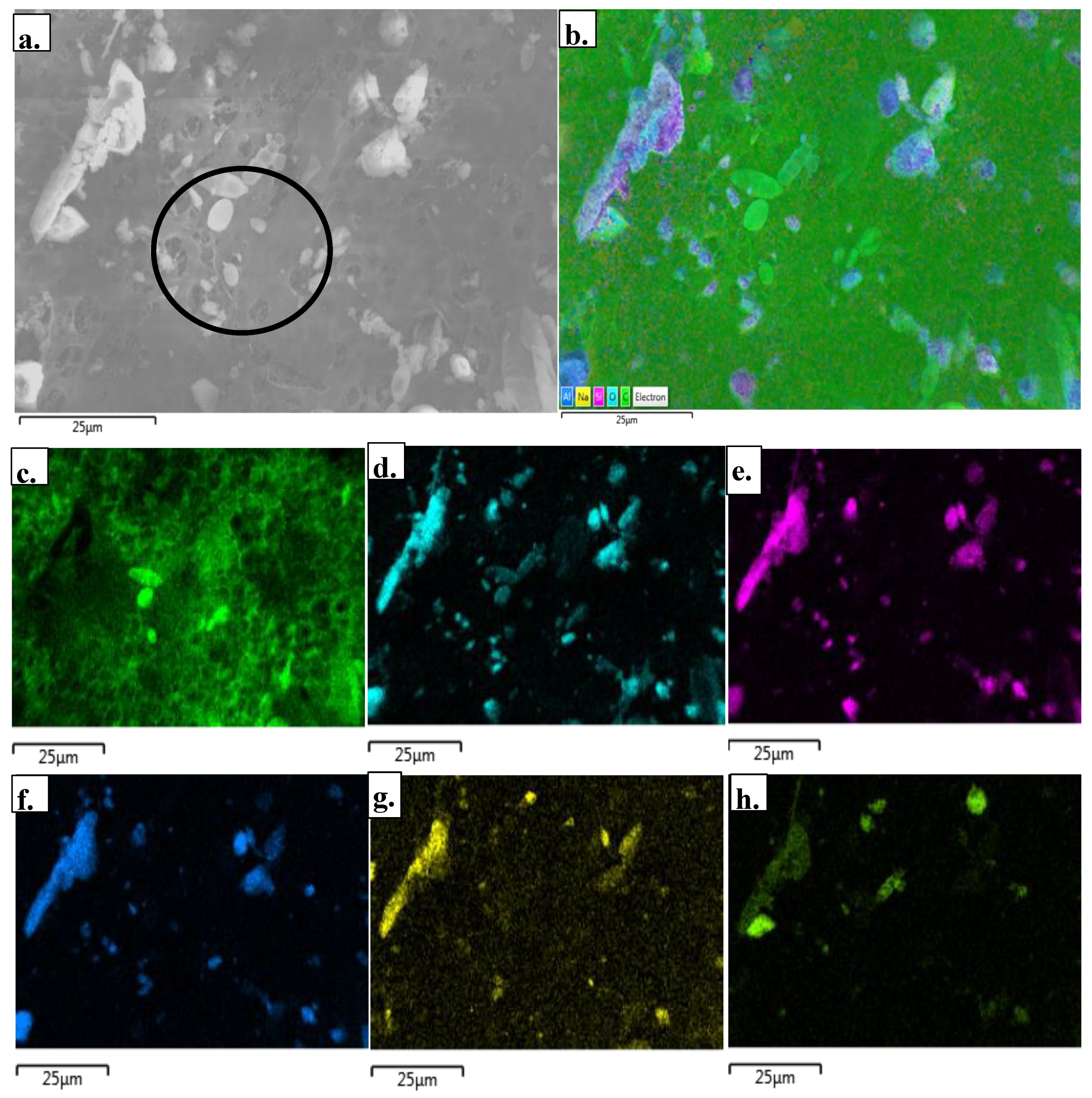 Ijerph 17 05708 g003 Ijerph 17 05708 g003