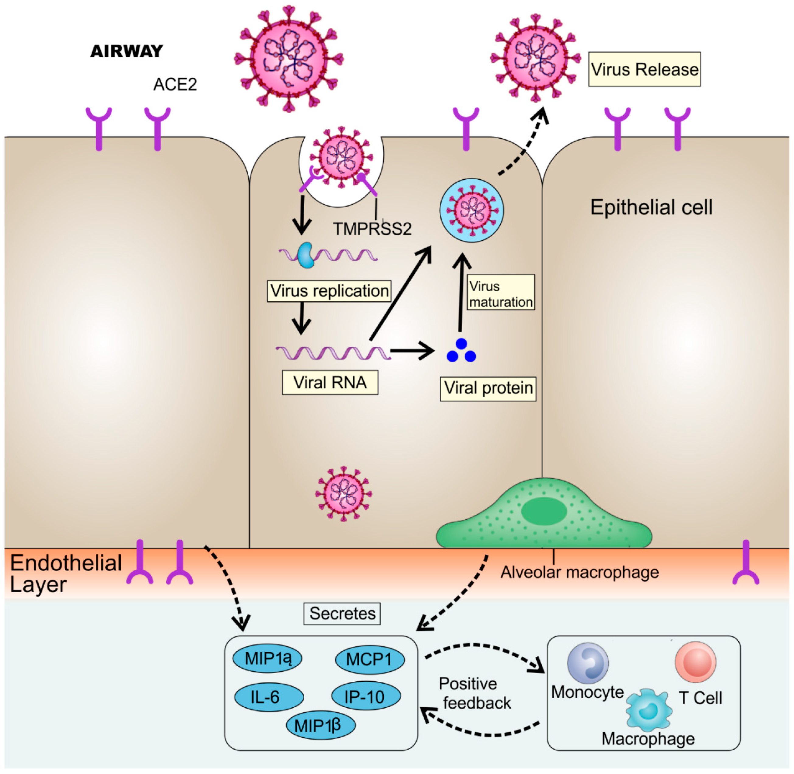 Ijerph 17 05904 g002