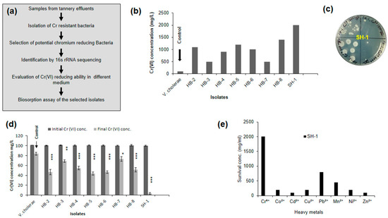 Bioremediation of Hexavalent Chromium by Chromium Resistant Bacteria ...