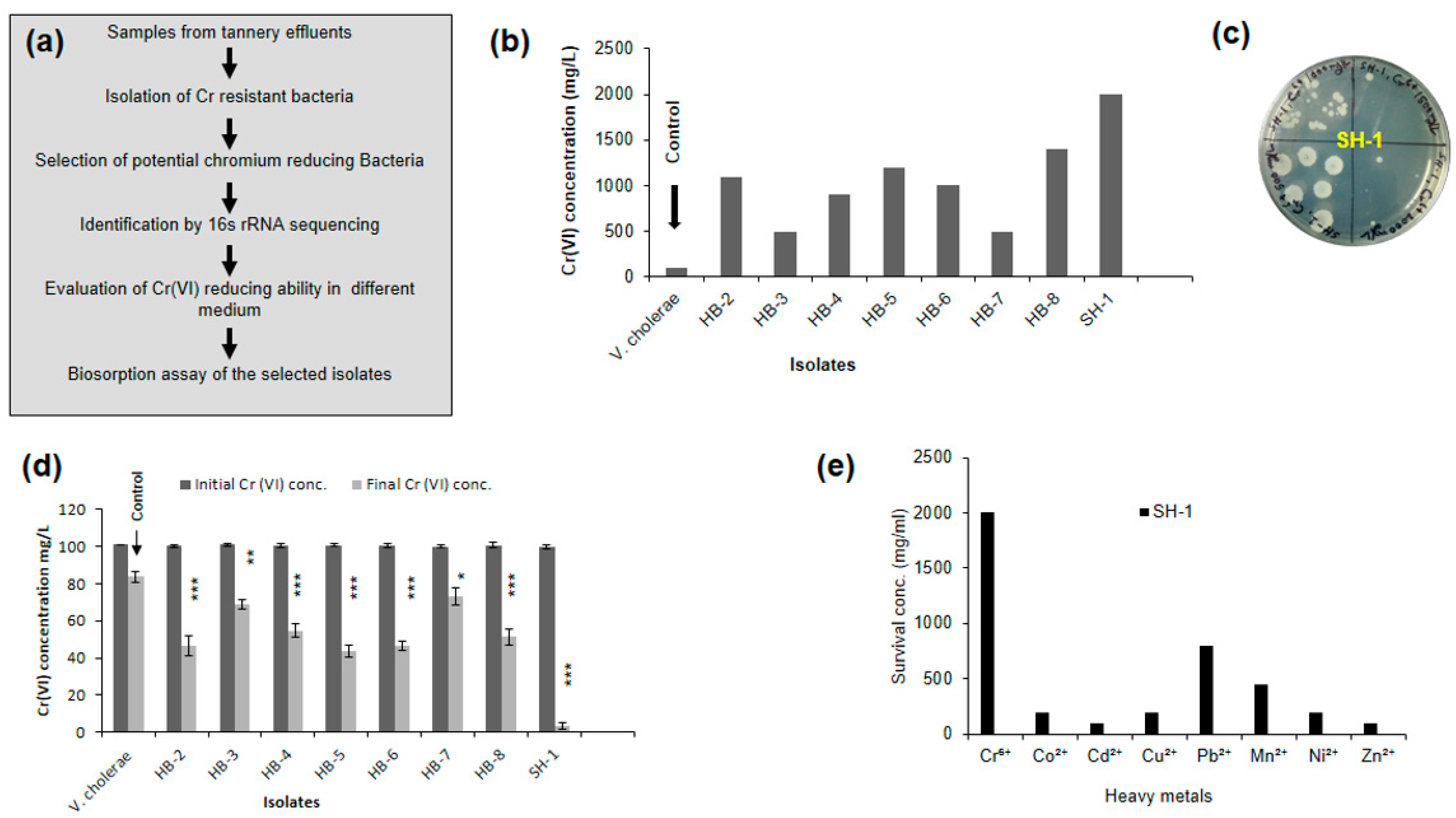 Ijerph 17 06013 g001