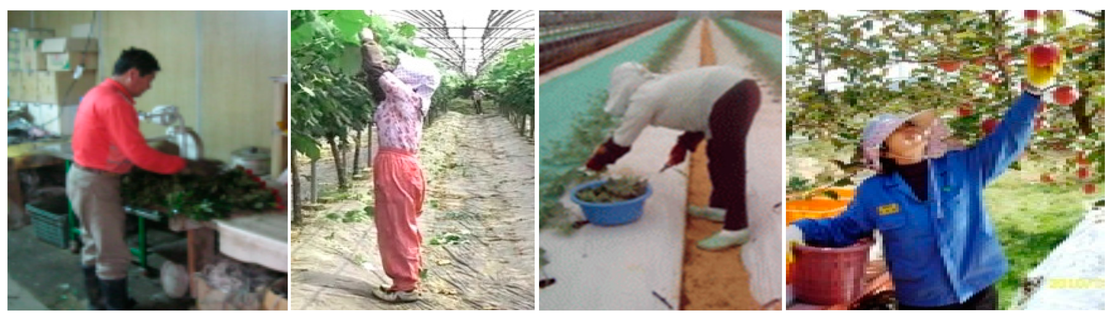 Ijerph 17 06479 g001 Ijerph 17 06479 g001