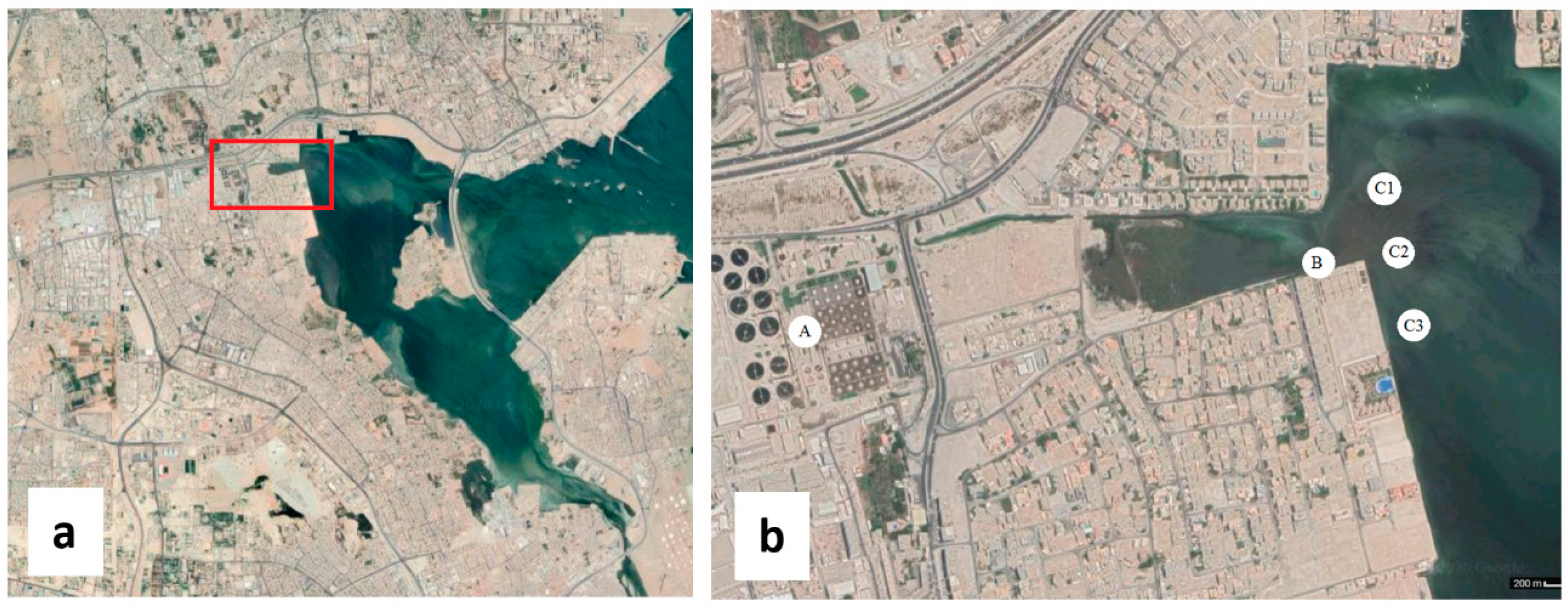 Ijerph 17 06483 g001 Ijerph 17 06483 g001