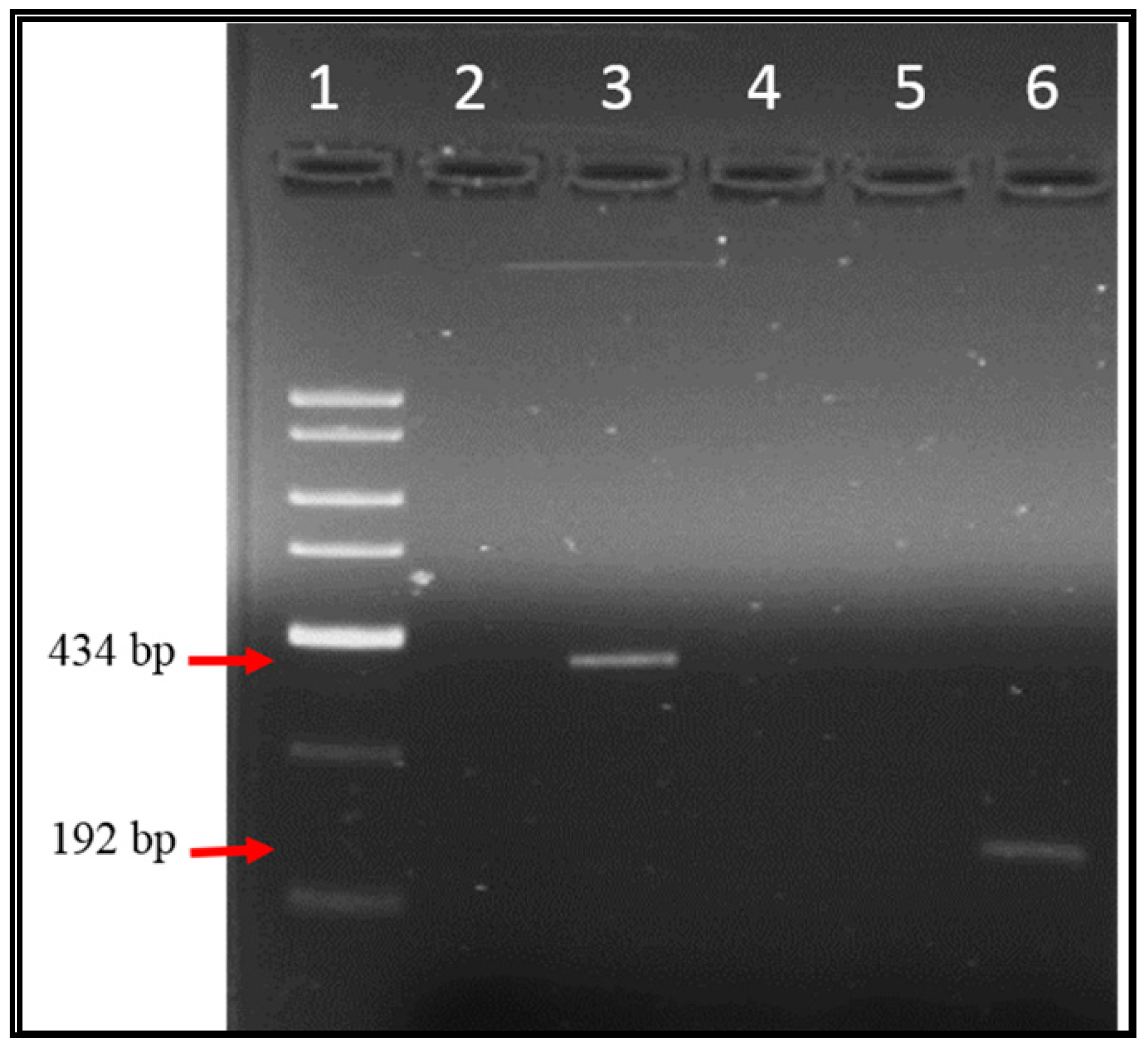 Ijerph 17 06483 g002 Ijerph 17 06483 g002