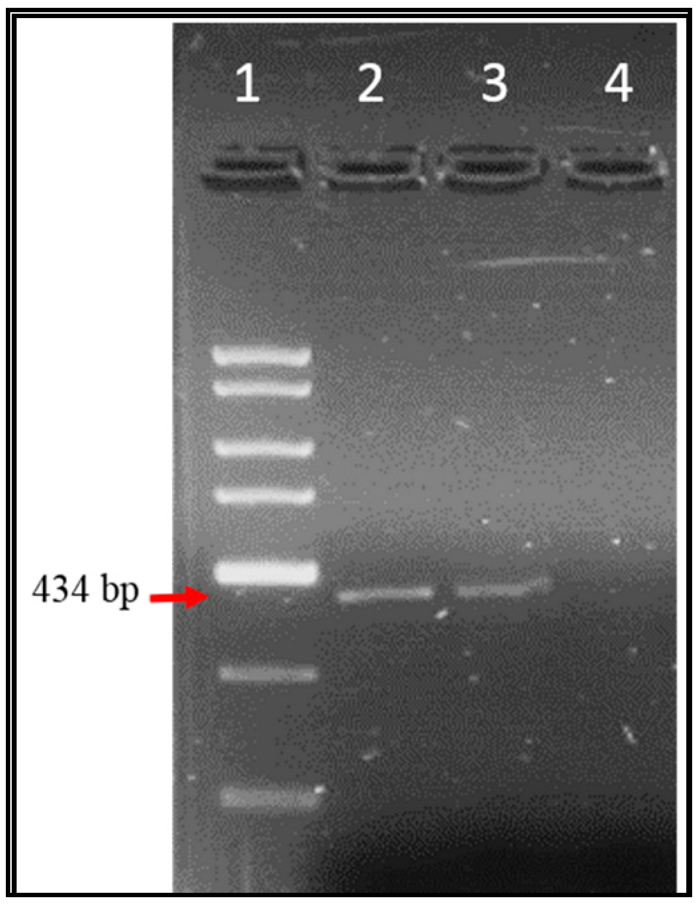 Ijerph 17 06483 g003 Ijerph 17 06483 g003