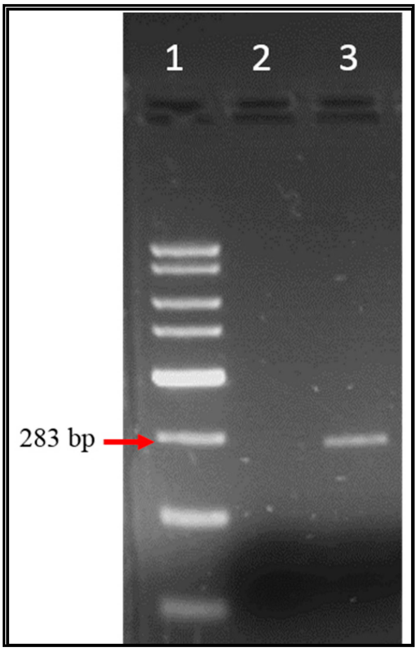 Ijerph 17 06483 g004 Ijerph 17 06483 g004