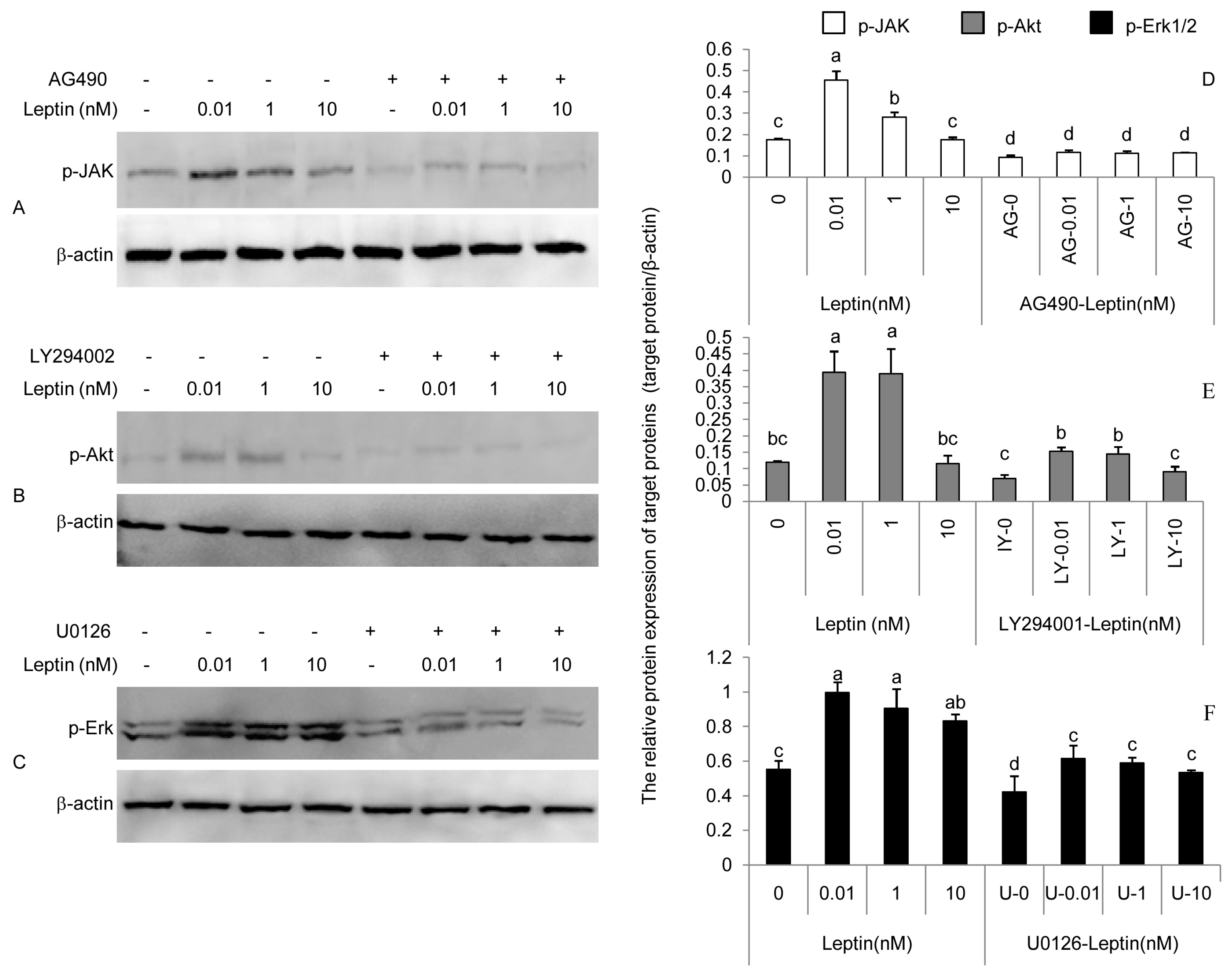 Ijerph 17 06508 g002