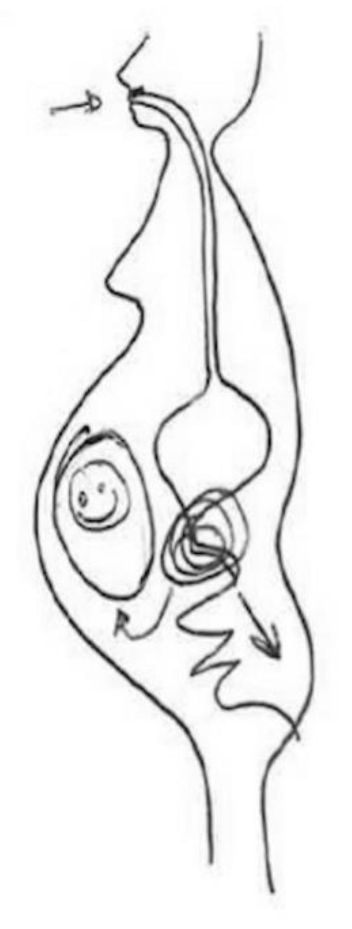 Ijerph 17 06544 g007