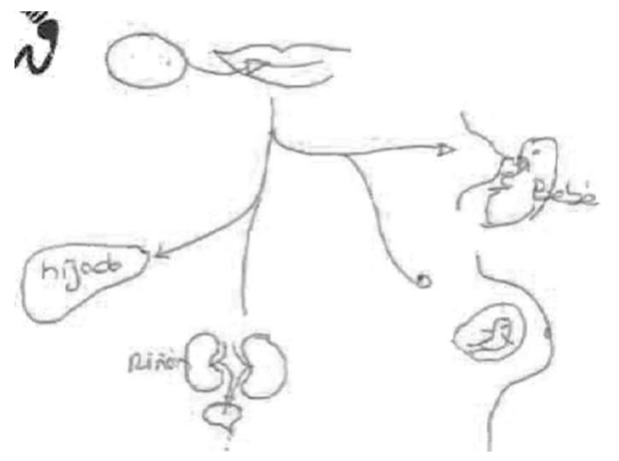 Ijerph 17 06544 g009