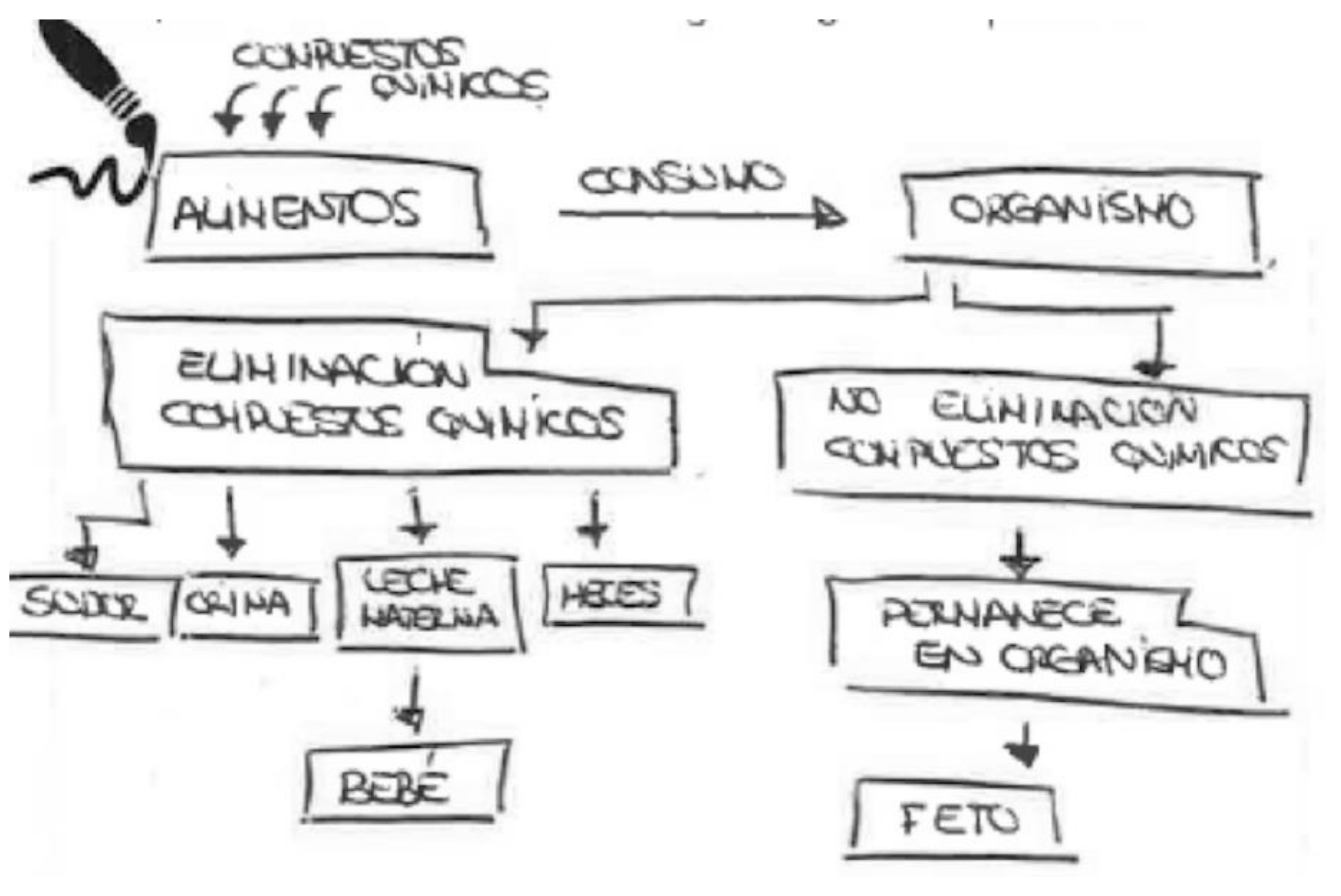 Ijerph 17 06544 g011