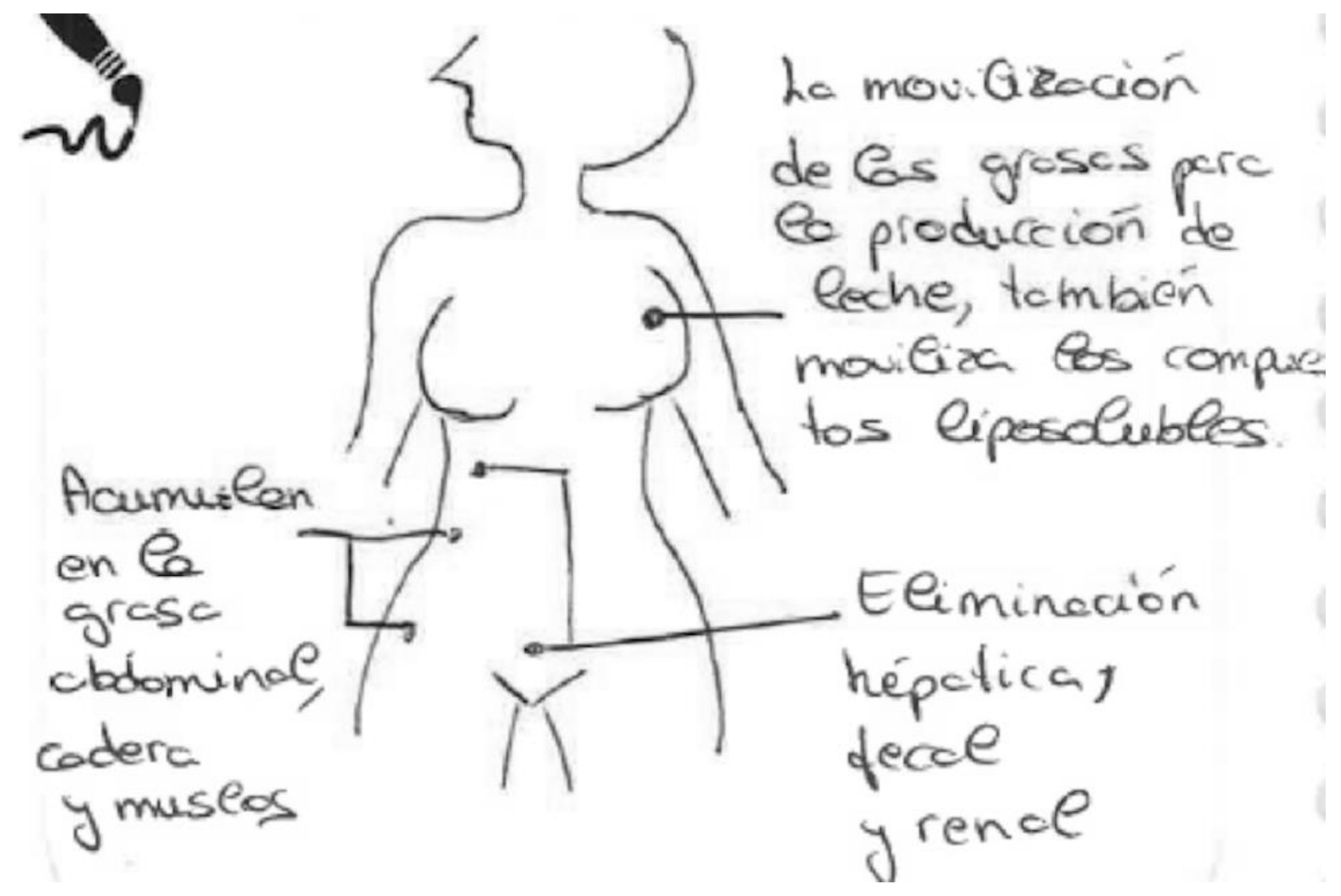 Ijerph 17 06544 g012