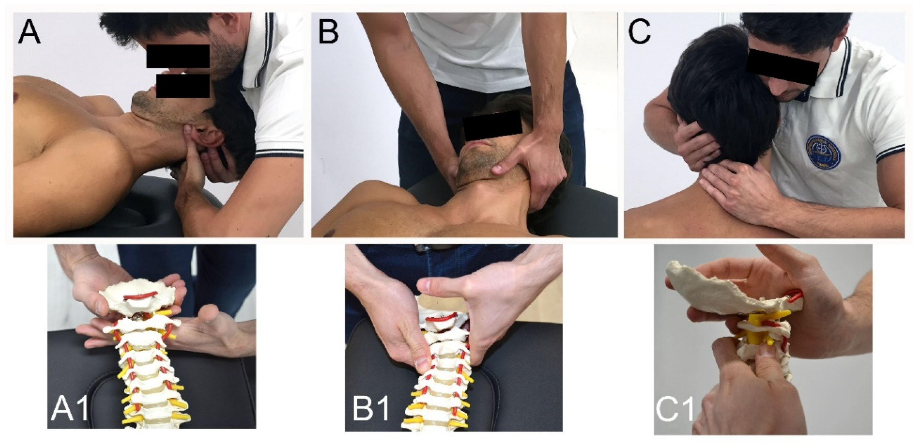 Ijerph Free Full Text Does The Addition Of Manual Therapy Approach To A Cervical Exercise Program Improve Clinical Outcomes For Patients With Chronic Neck Pain In Short And Mid Term A Randomized