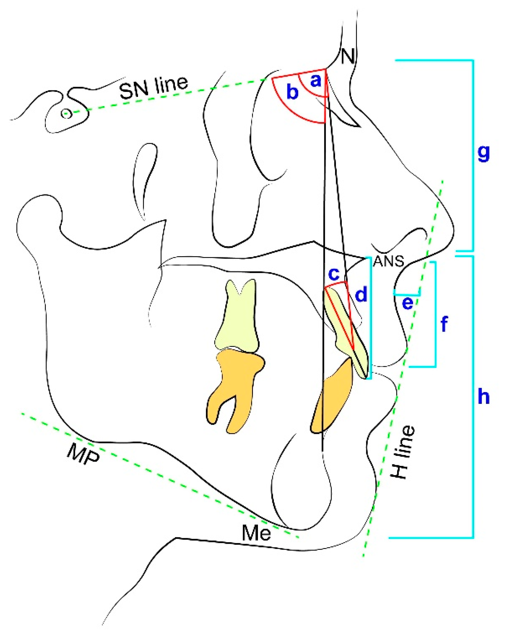 Ijerph 17 06672 g002