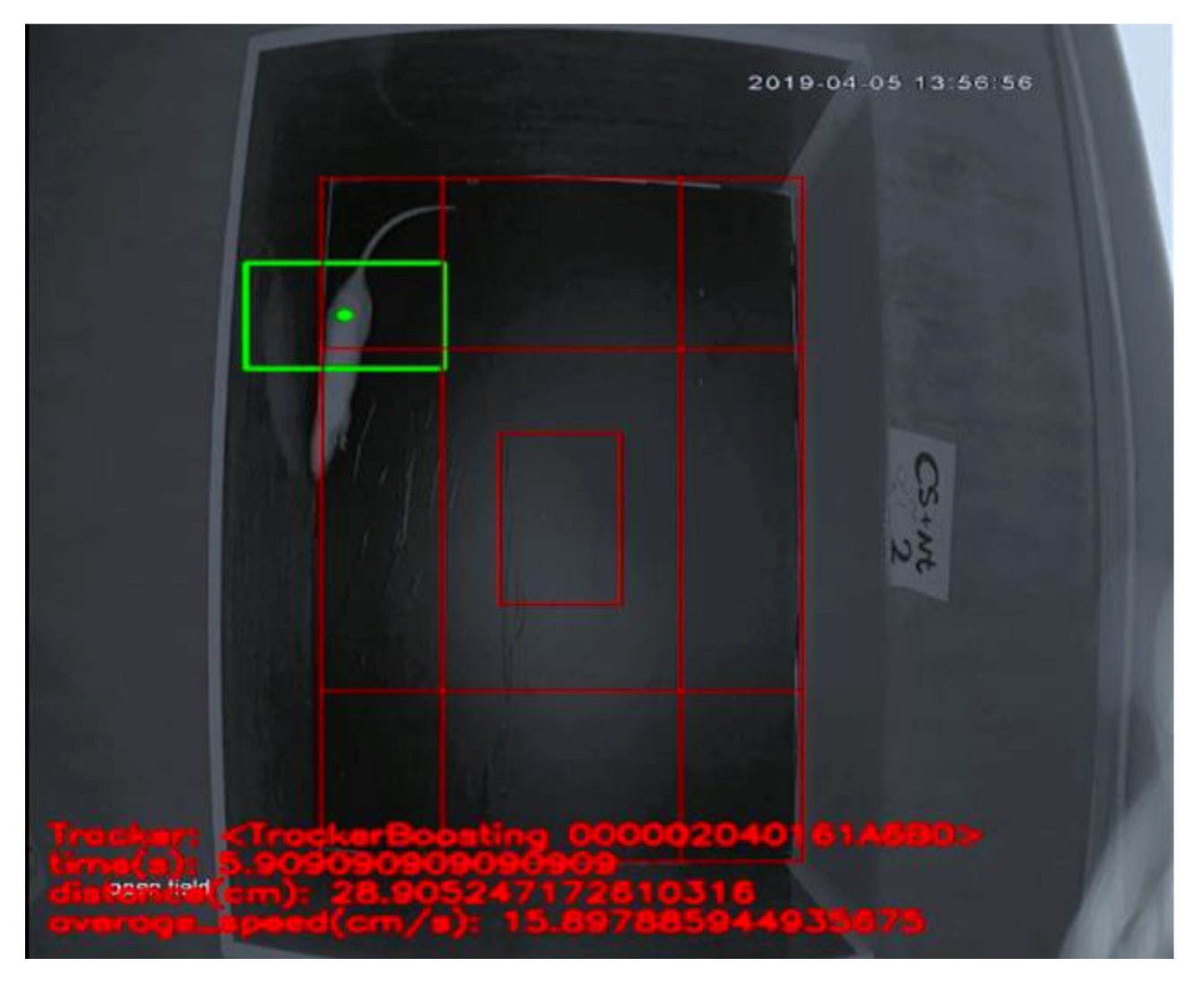 Ijerph 17 06675 g002