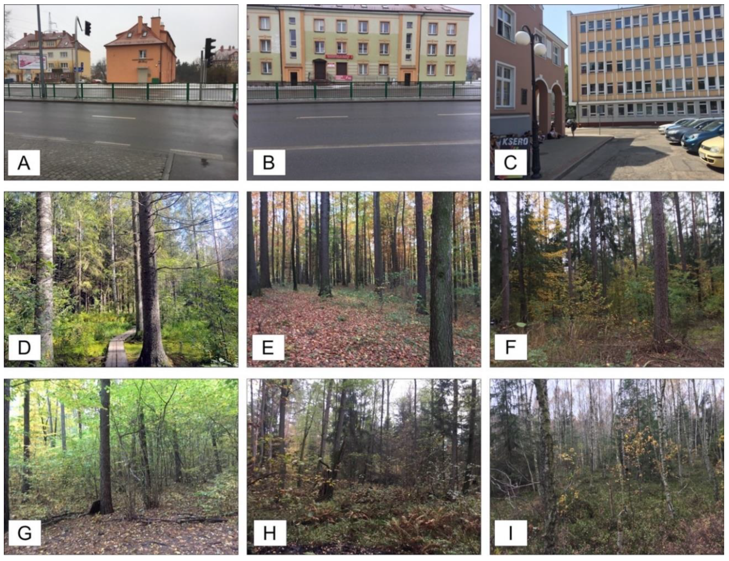 Ijerph 17 06731 g001 Ijerph 17 06731 g001