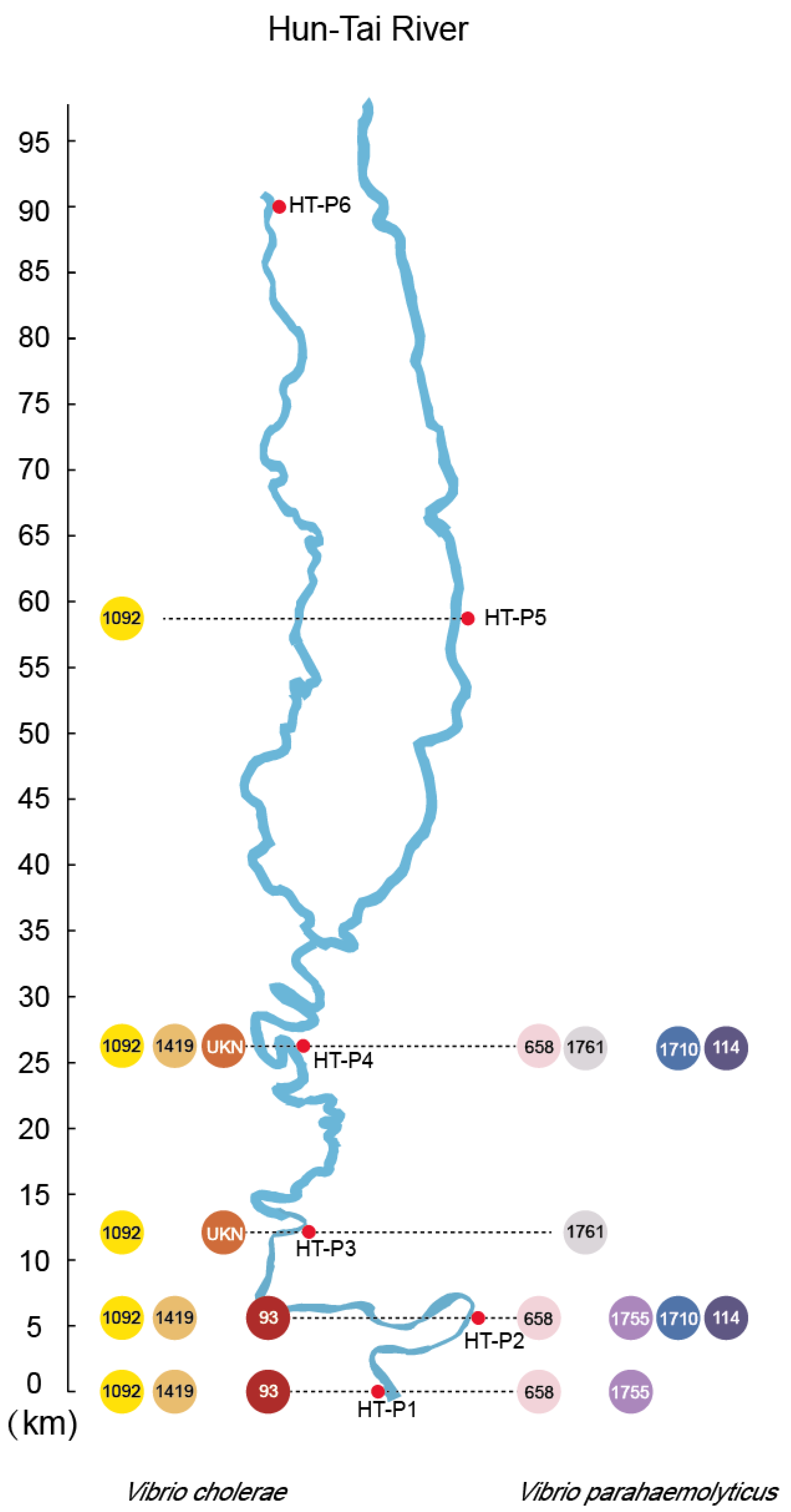 Ijerph 17 06781 g003