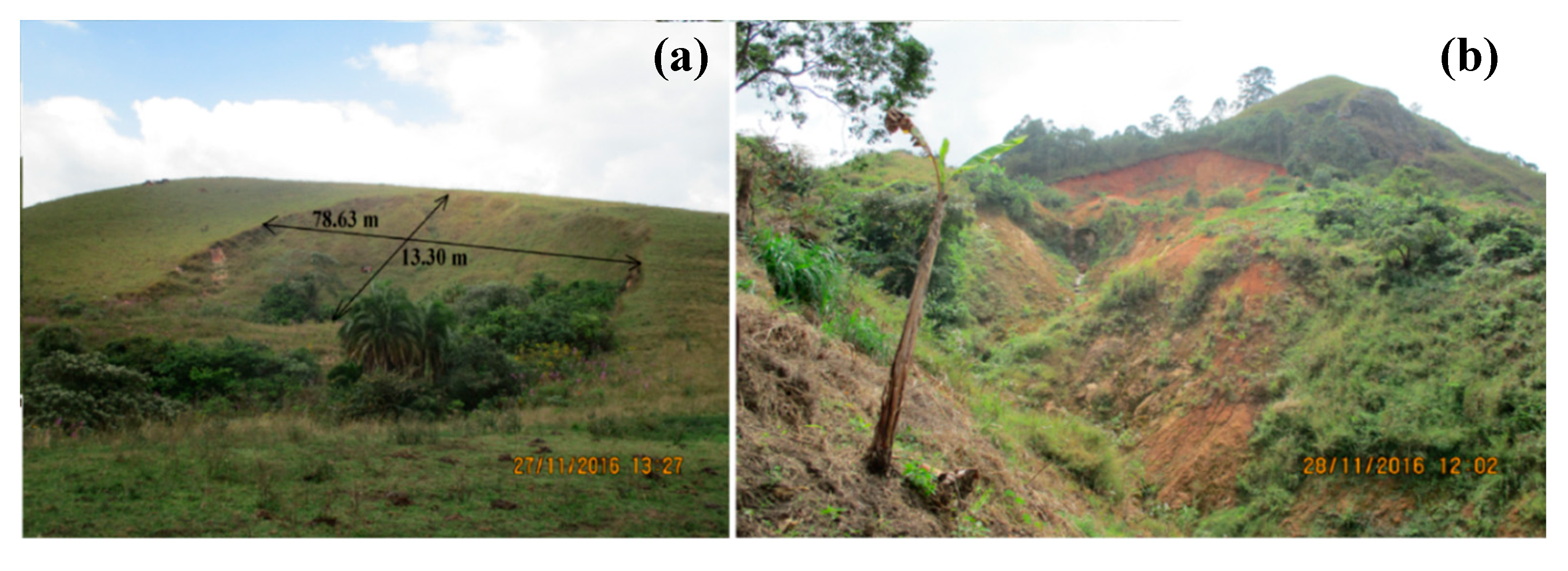 Ijerph 17 06795 g004