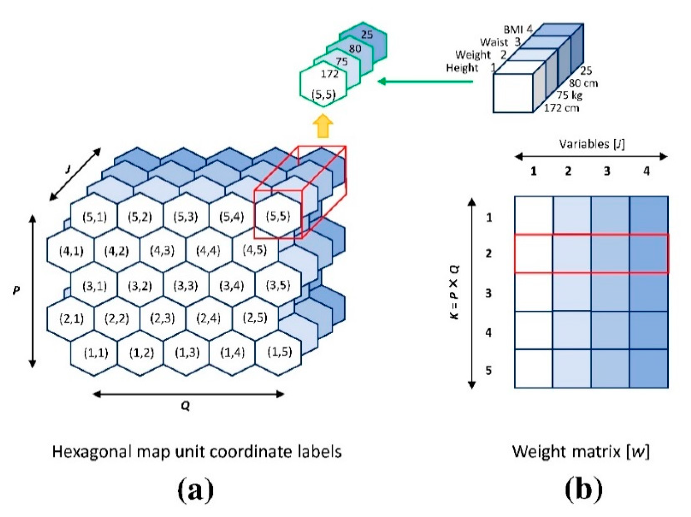 Ijerph Free Full Text An Artificial Neural Network Model For Assessing Frailty Associated Factors In The Thai Population Html